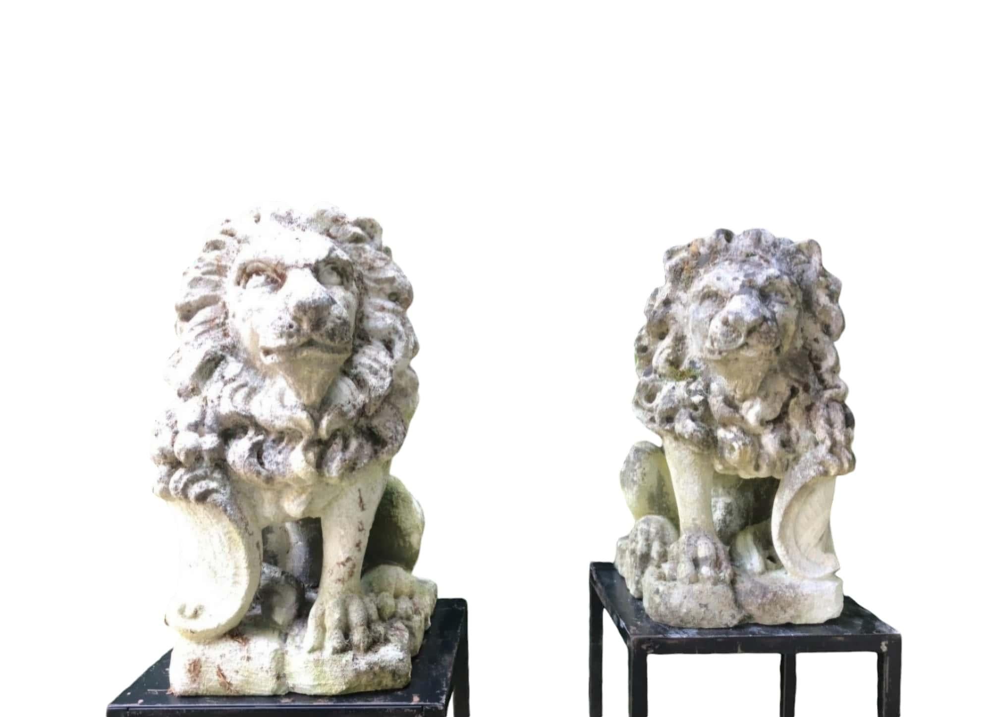 Elegante pareja de leones de piedra en venta 6