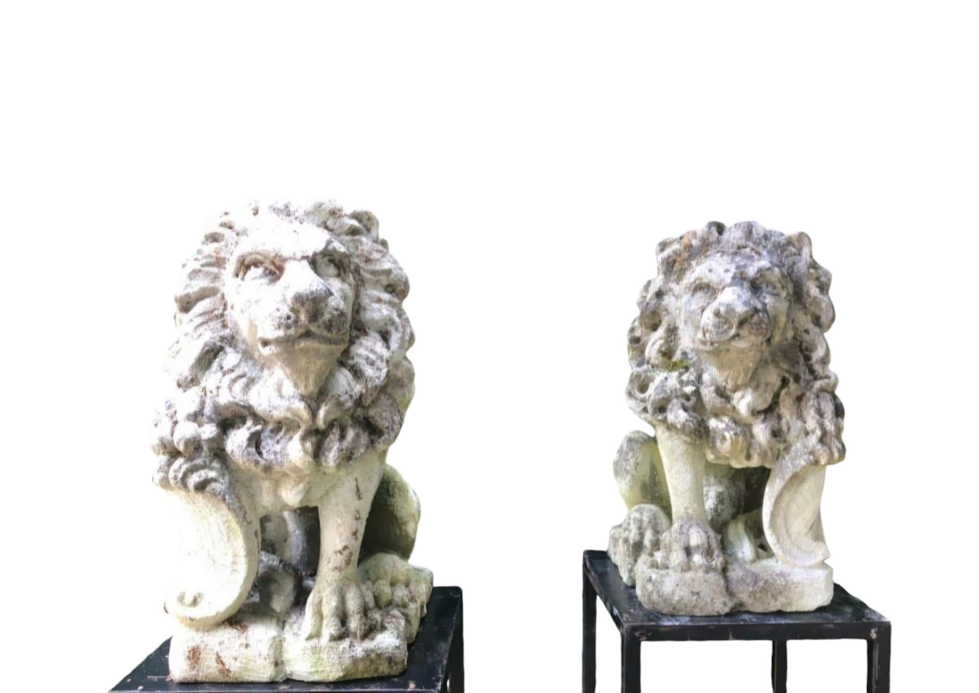 Elegante pareja de leones de piedra en venta 4