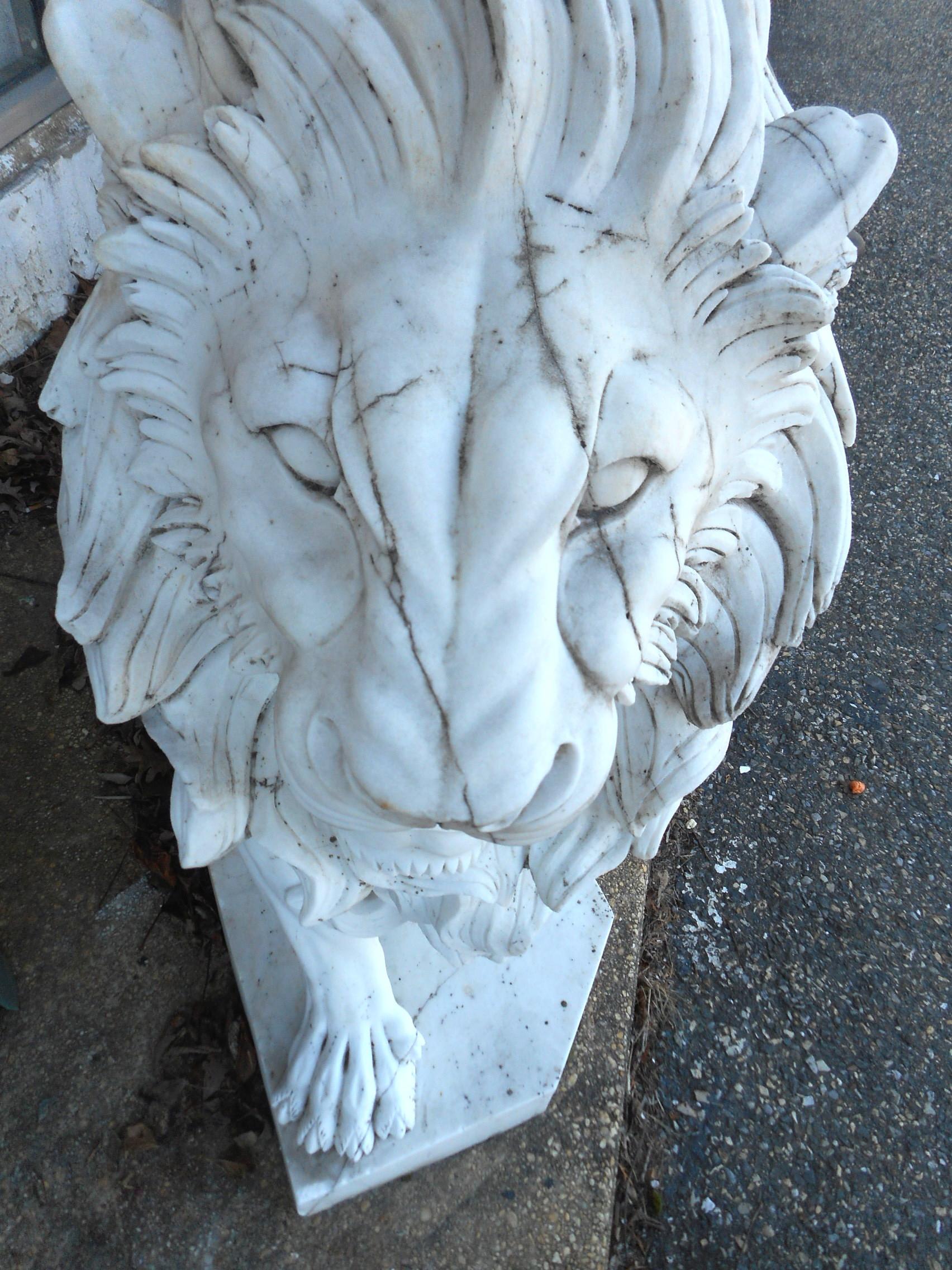 Elegant Pair of White Marble Lion Statues 5