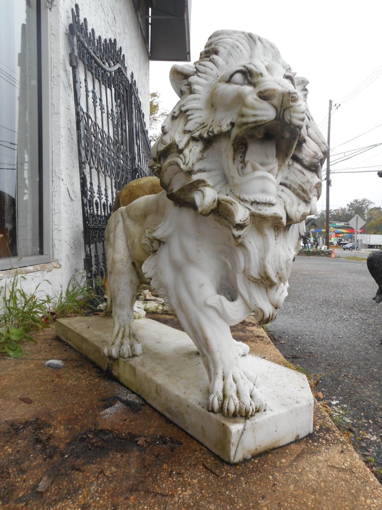 Elegant Pair of White Marble Lion Statues For Sale at 1stdibs