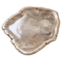 Elegant Petrified Wood Centerpiece 18"