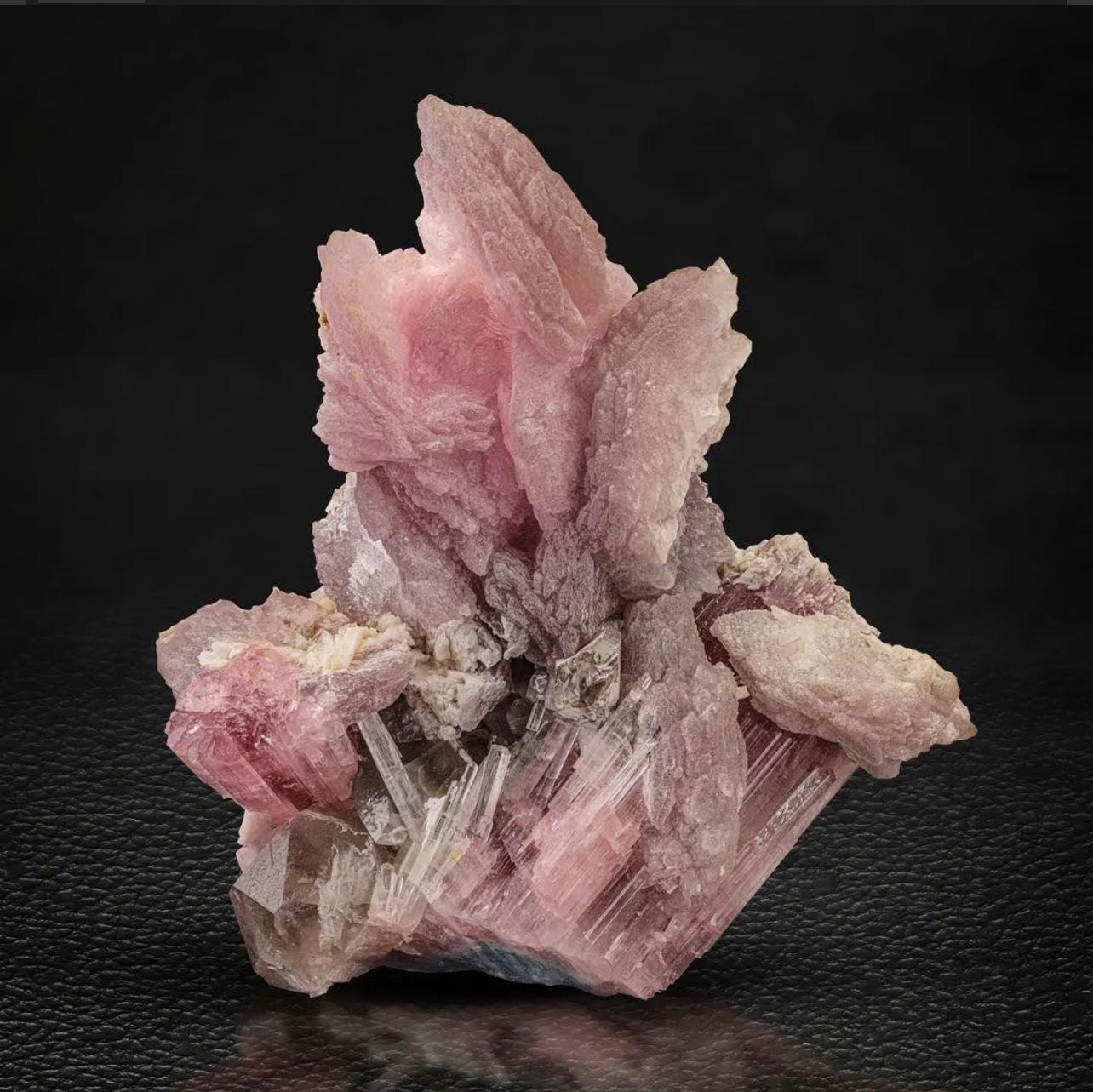 Product Information:

Specimen Type: Tourmaline on Lepidolite and Quartz

Weight: 190 grams

Dimensions: H: 9.5 x W: 8.5 x D: 3 cm

Origin: Paprok Mine, Nuristan Province, Afghanistan

Treatment: None

Description: 

This specimen of Pink Lepidolite