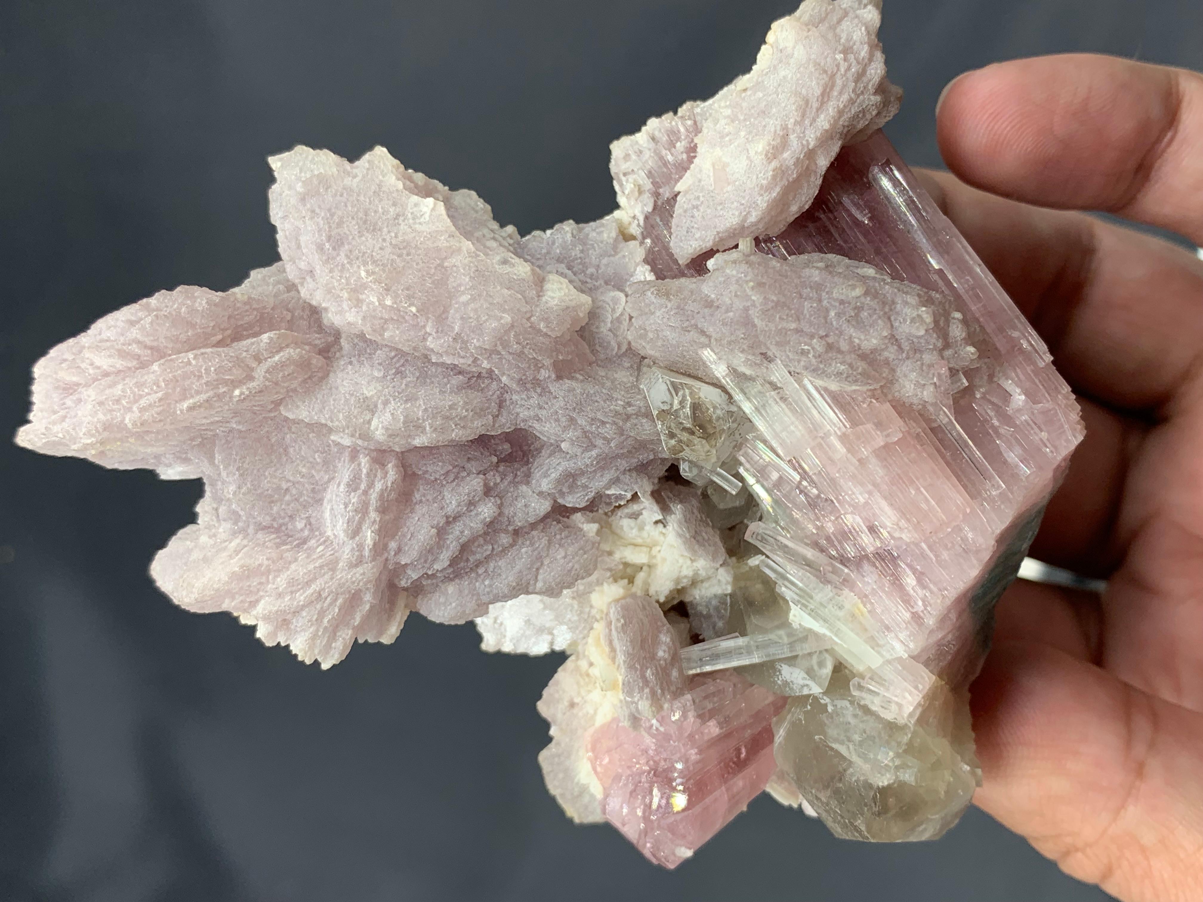 Adam Style Elegant Pink Lepidolite On Pink Tourmaline Crystals With Quartz From Afghanistan For Sale