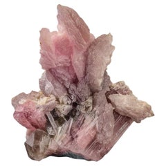 Eleganza della lepidolite rosa su cristalli di tormalina rosa con quarzo dell'Afghanistan