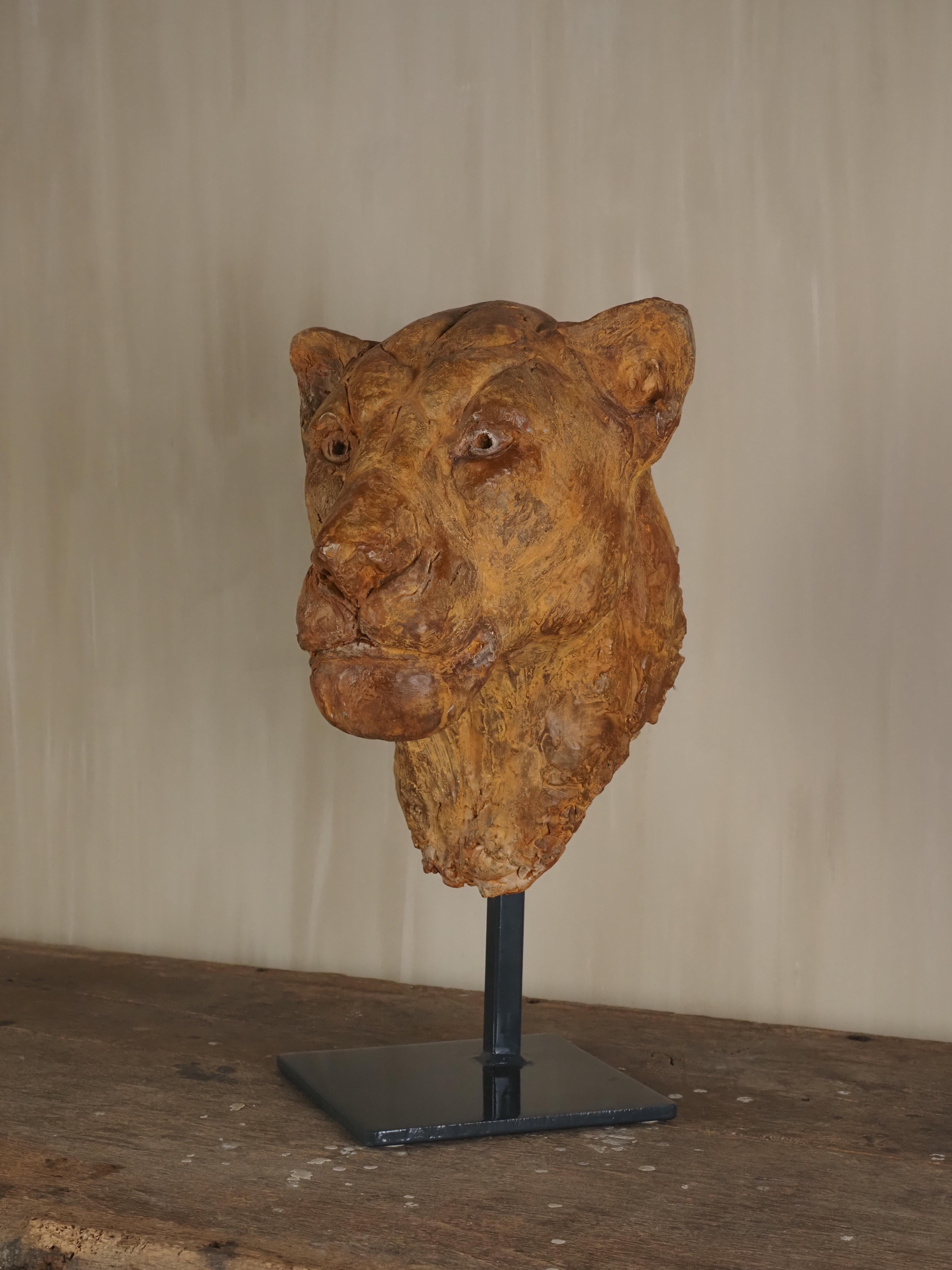 Elegante escultura de escayola con cabeza de león de Carine Laeveren en venta 4