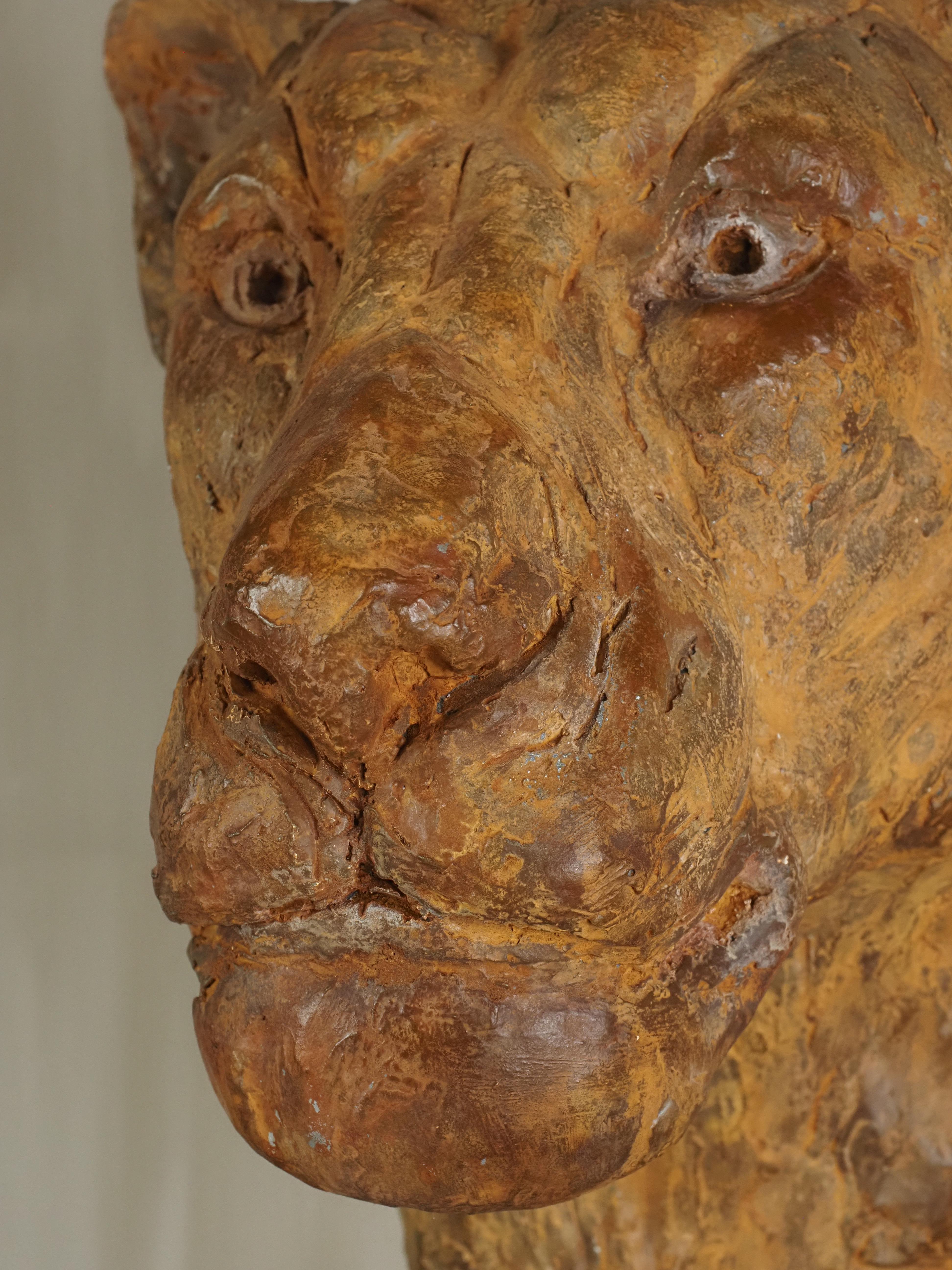 Elegante escultura de escayola con cabeza de león de Carine Laeveren en venta 8