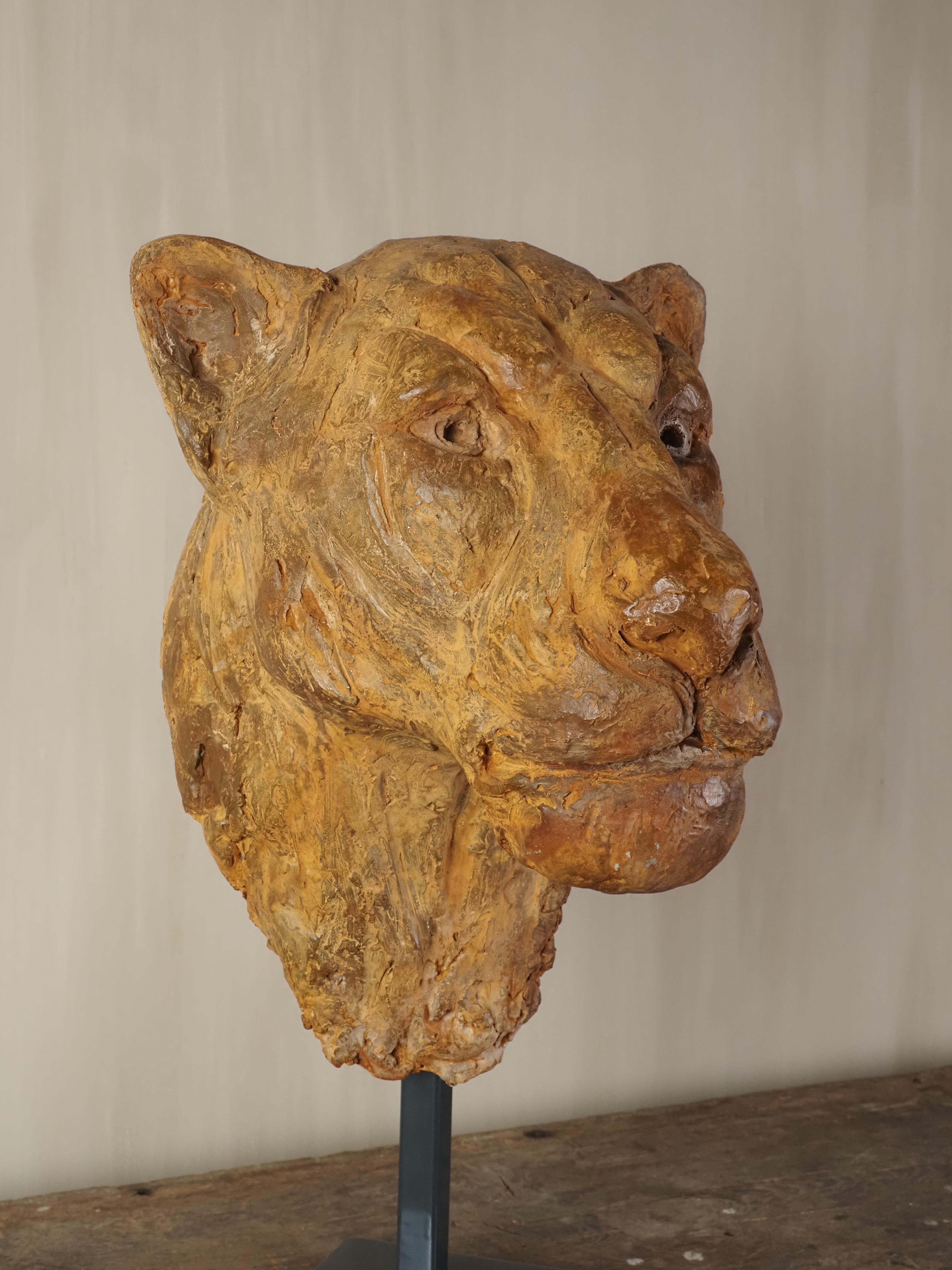 Elegante escultura de escayola con cabeza de león de Carine Laeveren en venta 10