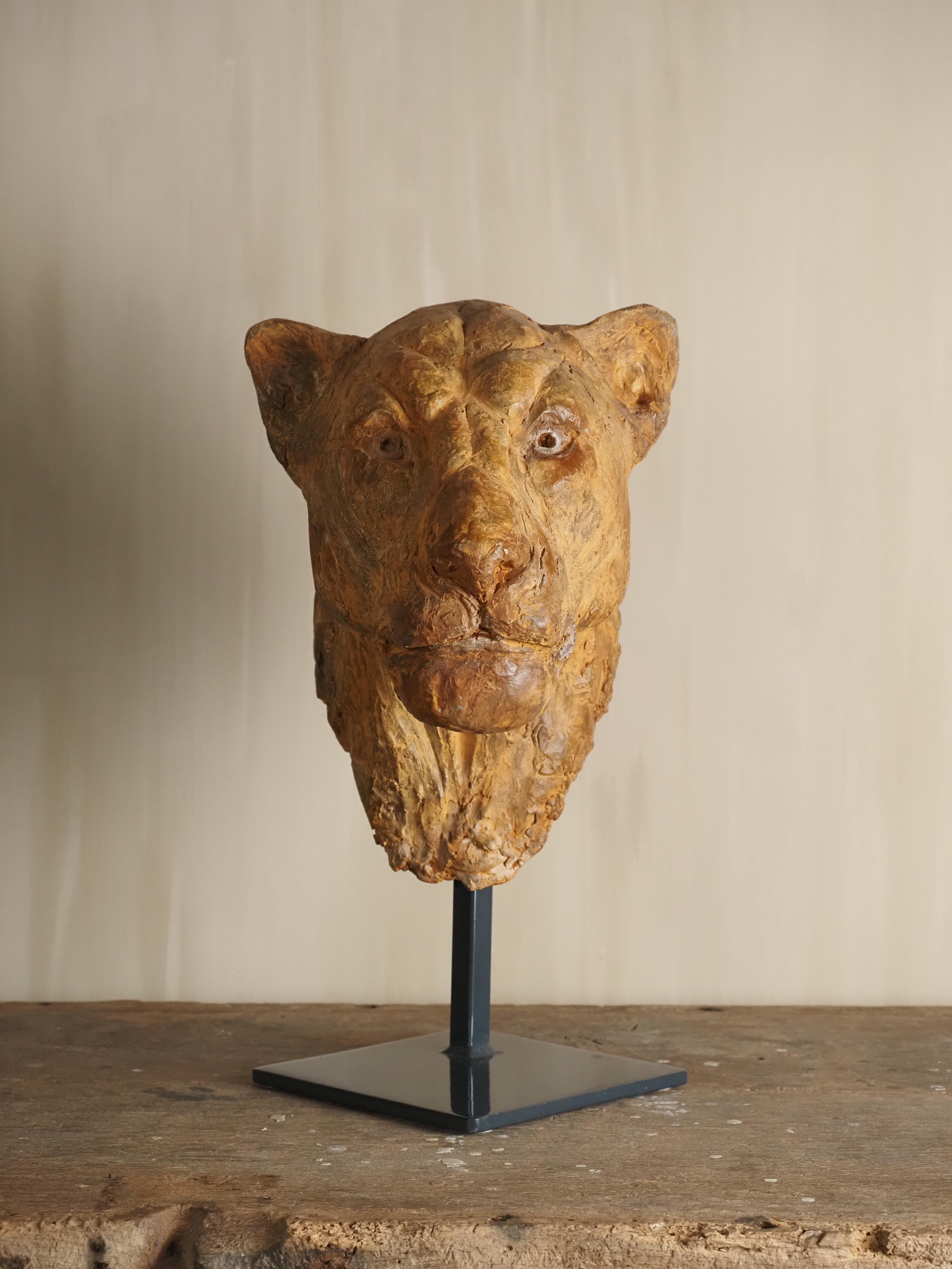 Añade un toque de arte atemporal a tu espacio con esta cabeza de león bellamente esculpida en escayola sobre peana, creada por la artista belga Carine Laeveren.

El león, símbolo universal de fuerza, valor y majestuosidad, cobra vida en esta pieza