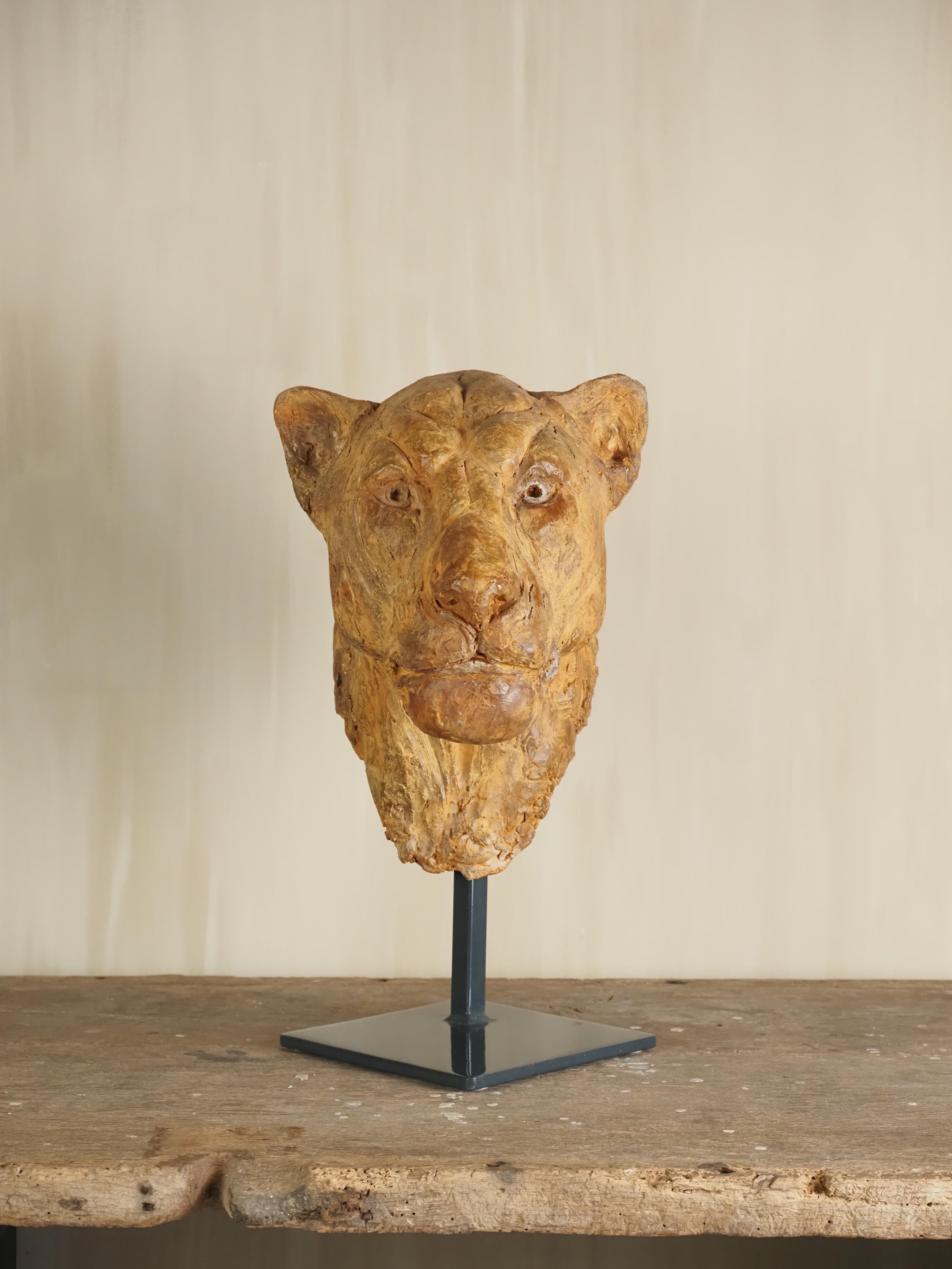 Elegante escultura de escayola con cabeza de león de Carine Laeveren Belga en venta