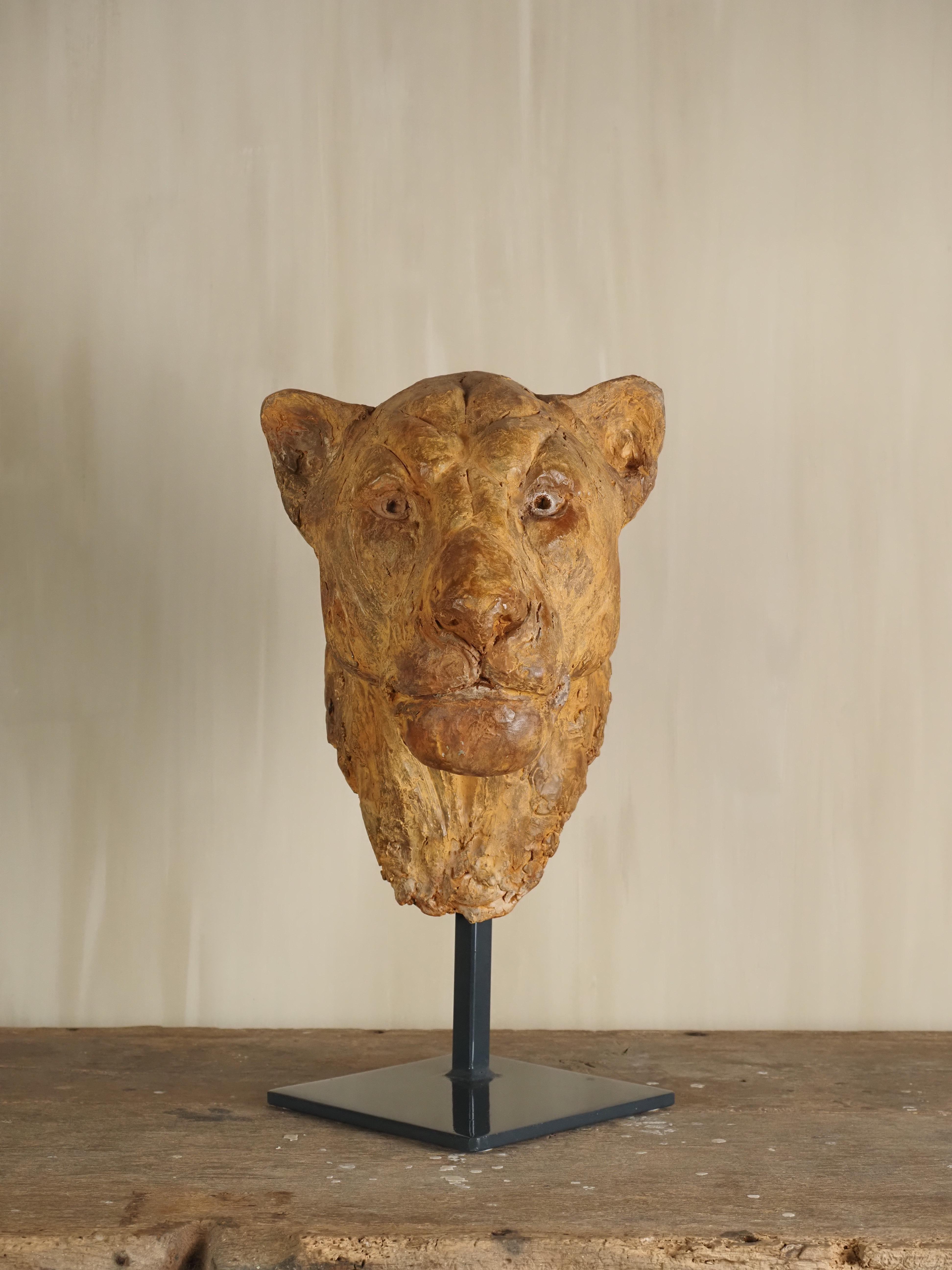 Elegante escultura de escayola con cabeza de león de Carine Laeveren en Excelente estado para la venta en Diest, BE