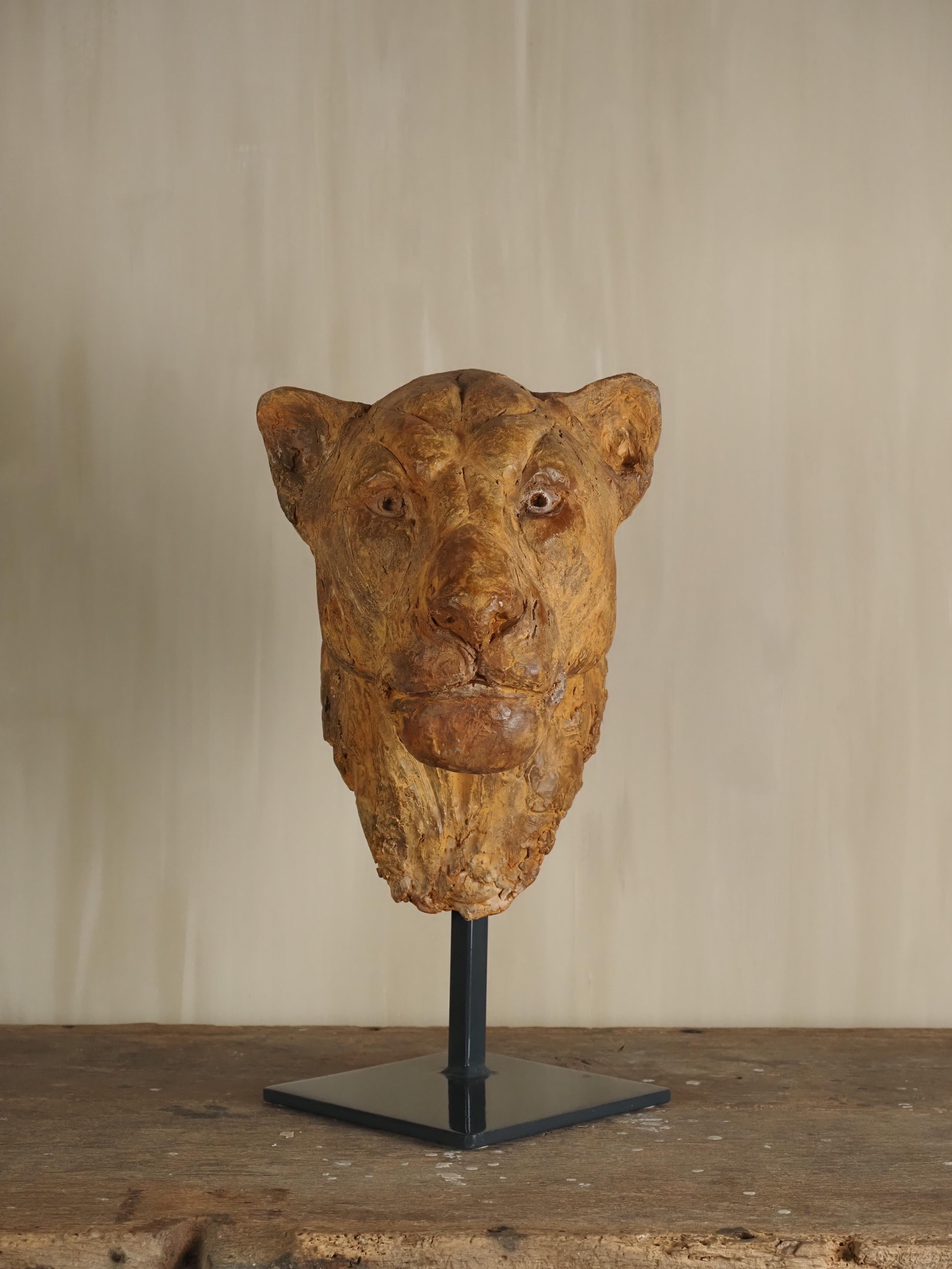 Elegante escultura de escayola con cabeza de león de Carine Laeveren Siglo XXI y contemporáneo en venta