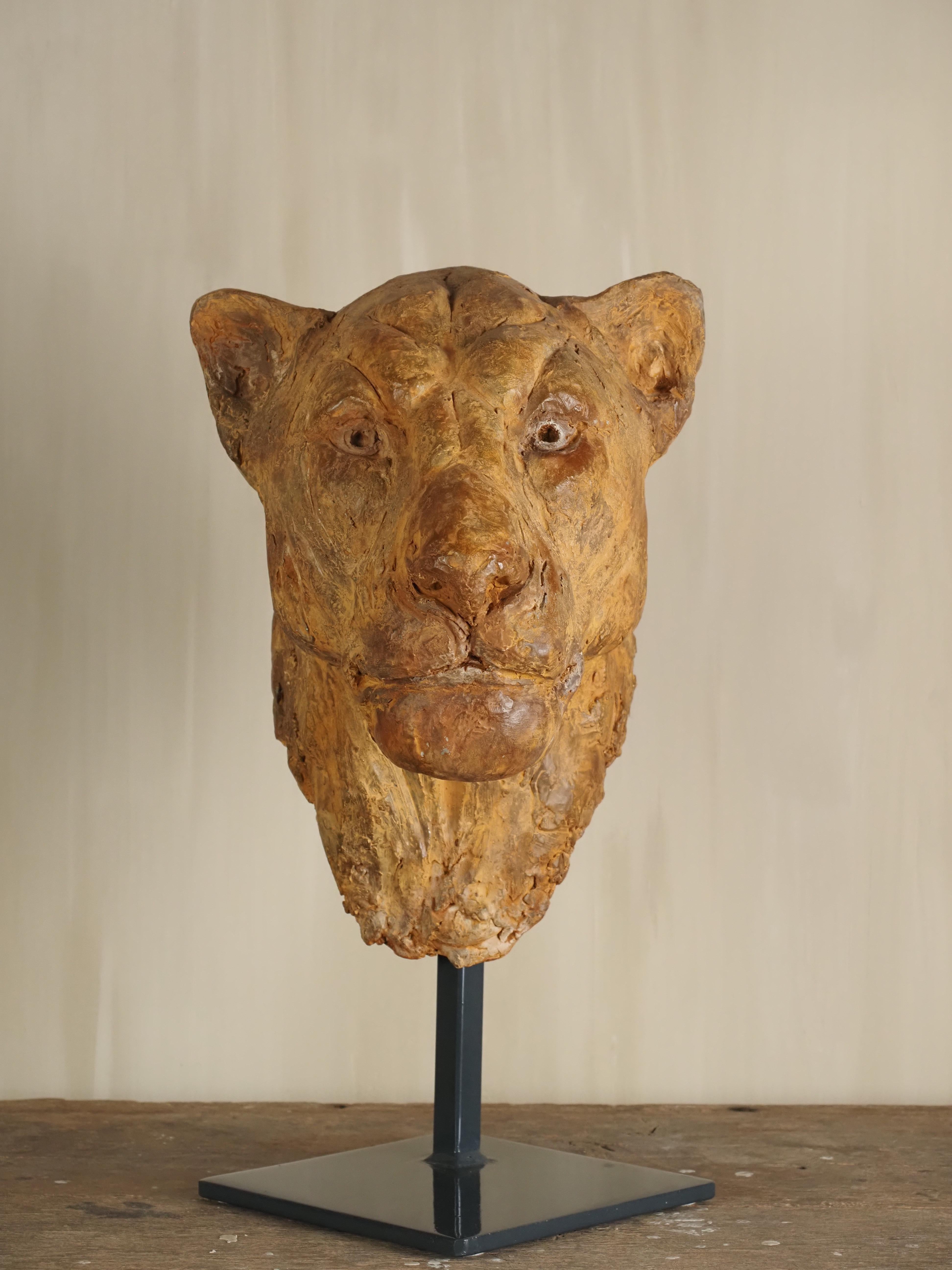 Elegante escultura de escayola con cabeza de león de Carine Laeveren Yeso en venta