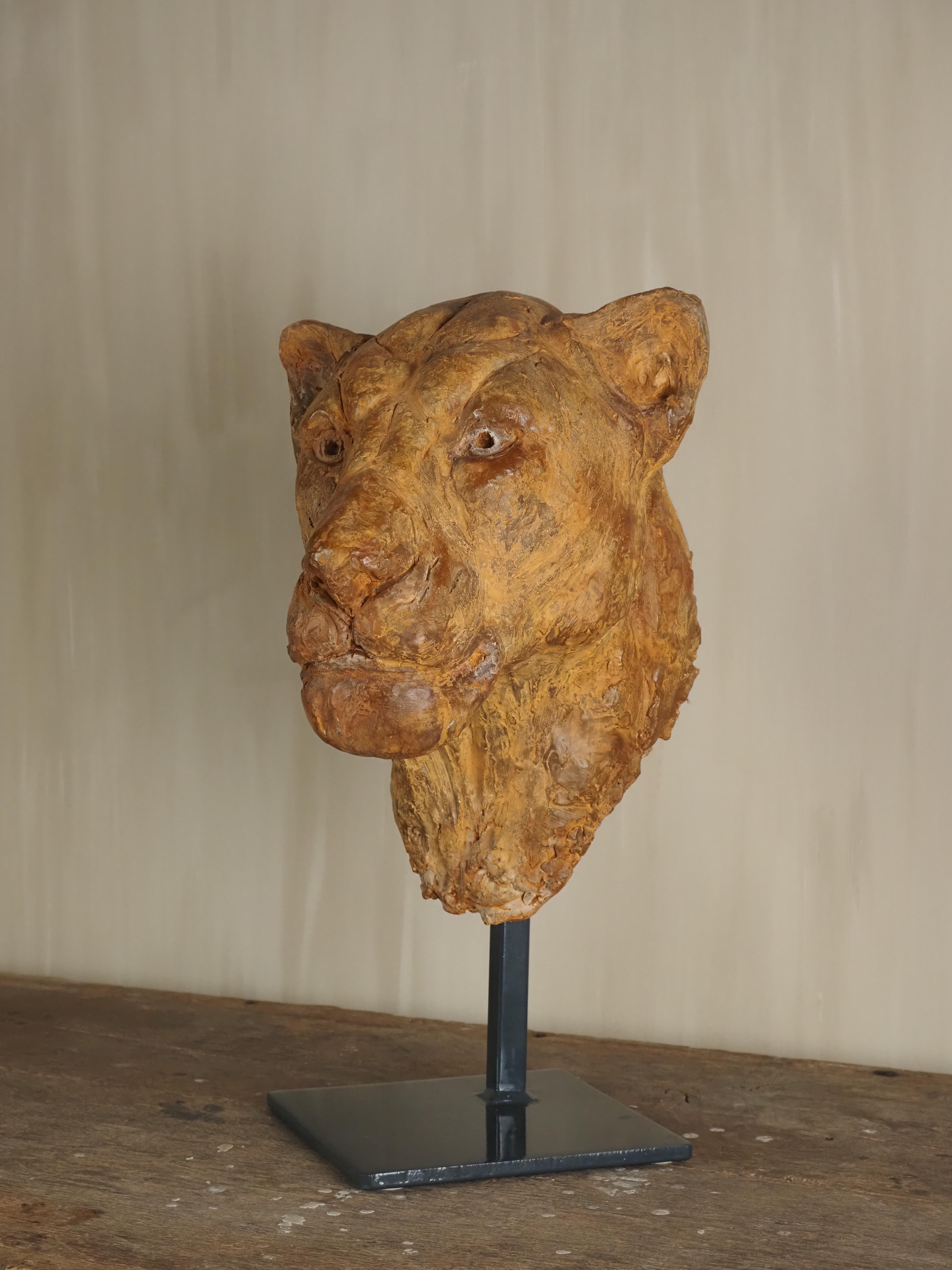 Elegante escultura de escayola con cabeza de león de Carine Laeveren en venta 1