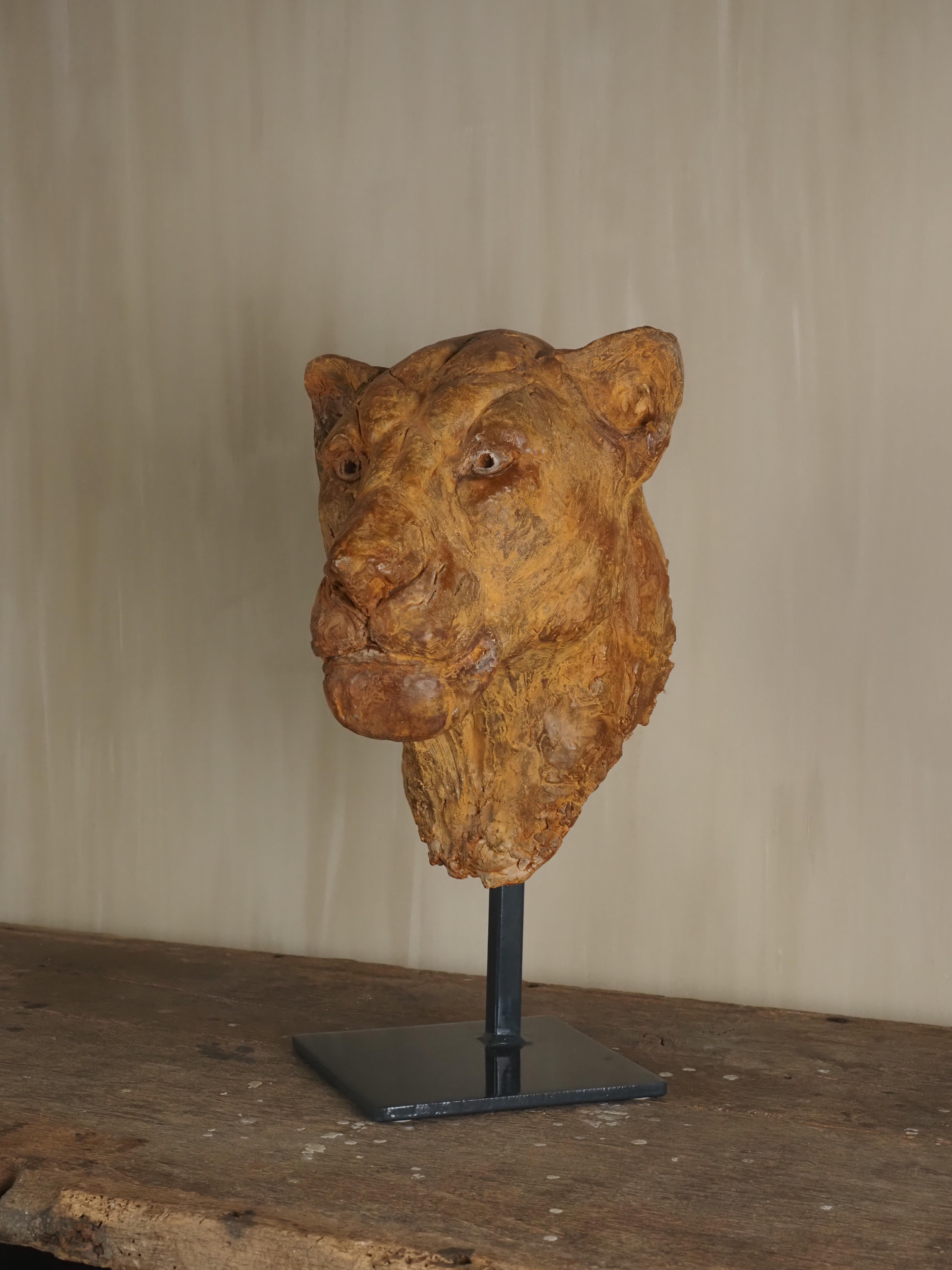 Elegante escultura de escayola con cabeza de león de Carine Laeveren en venta 2