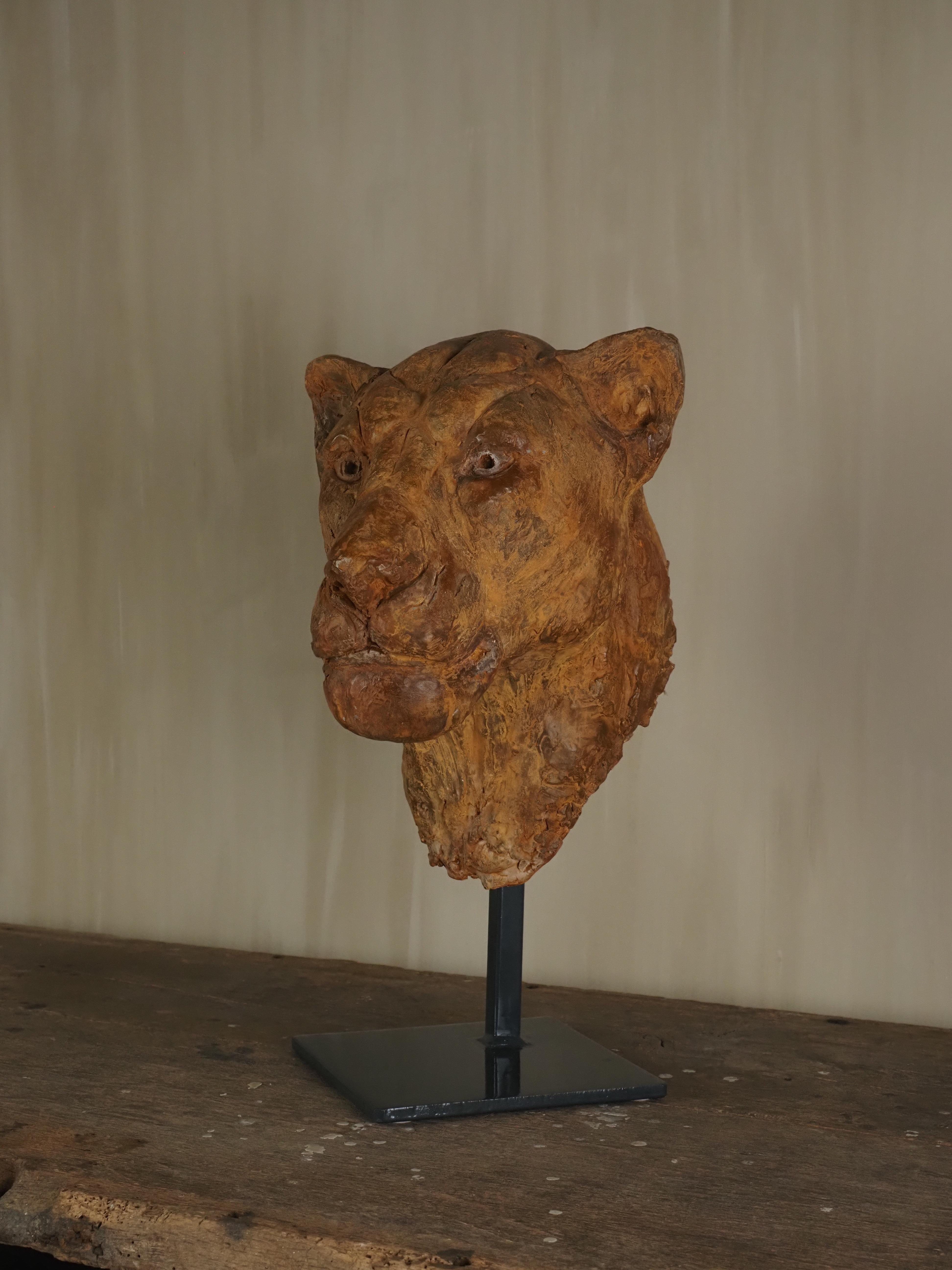 Elegante escultura de escayola con cabeza de león de Carine Laeveren en venta 3