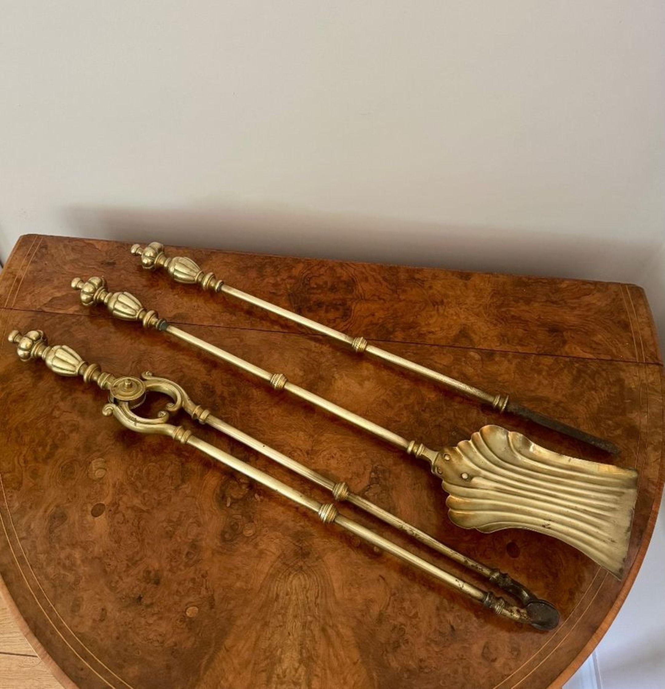 Ottone Elegante set per caminetto in ottone di epoca vittoriana di alta qualità in vendita