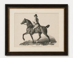 Elegant Regency Horse & Rider Portrait, Gauci Lithograph c.1840