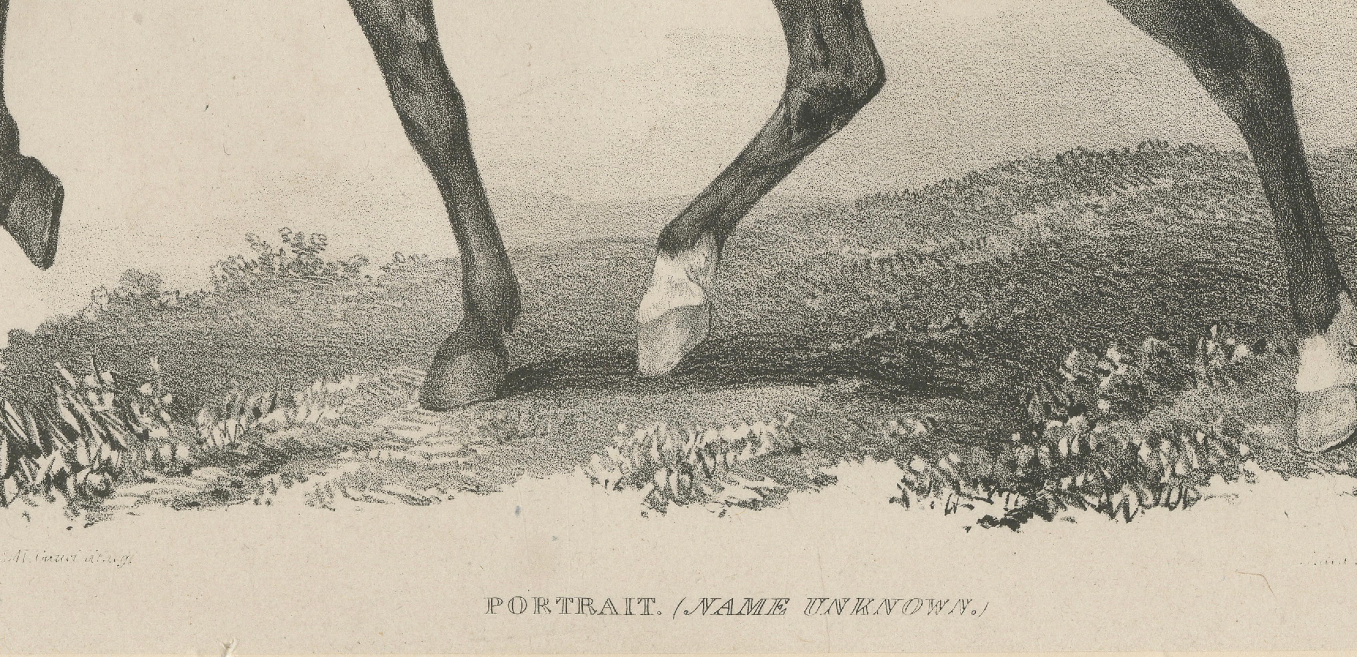 Elegant Regency Horse & Rider Portrait, Gauci Lithograph c.1840