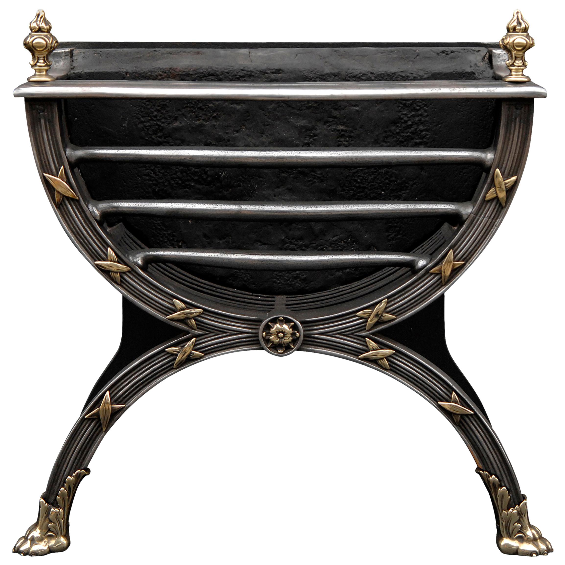 Elegant Regency Style Polished Cast Iron and Brass Fire Grate