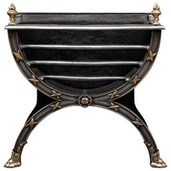 Retro Elegant Regency Style Polished Cast Iron and Brass Fire Grate