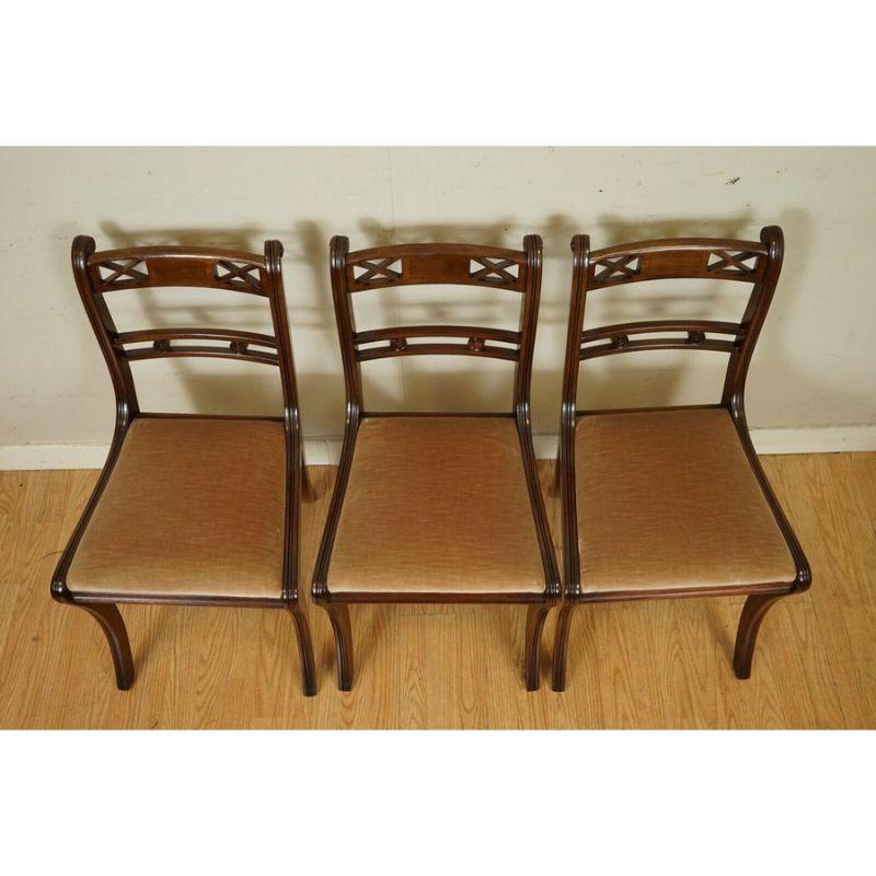 Elegant Regency Style Sabre Legged Dinning Chairs In Good Condition In Pulborough, GB