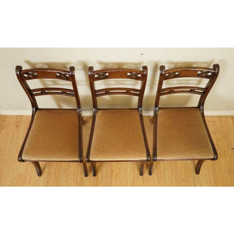 20th Century Elegant Regency Style Sabre Legged Dinning Chairs