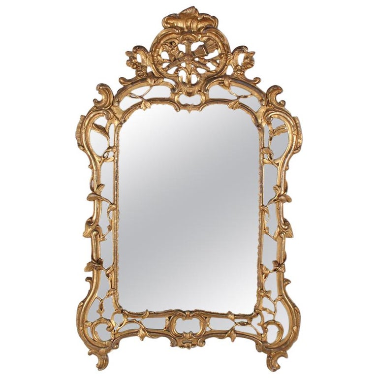 Elegant Rococo Style Mirror For Sale at 1stdibs