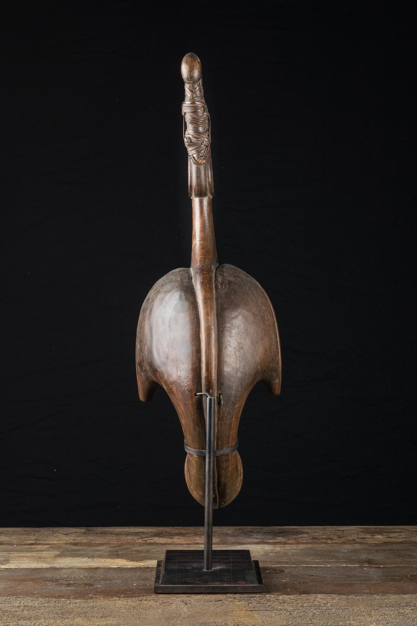 short necked lute