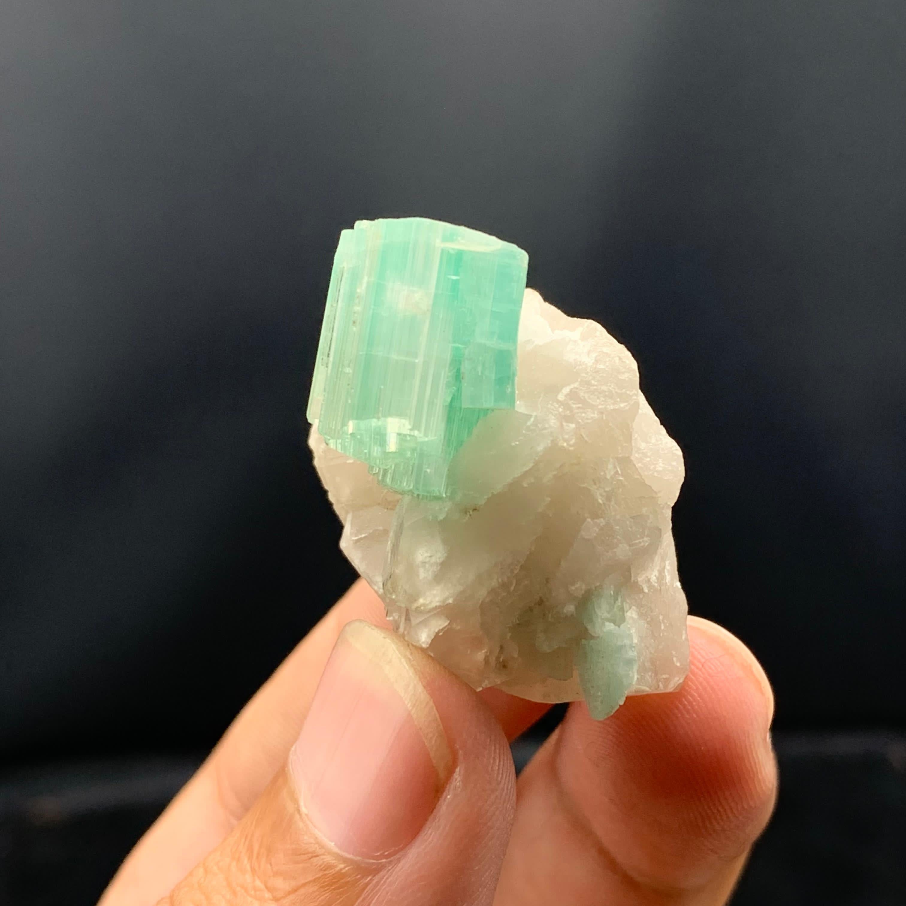 Elegante  Tormalina allungata su quarzo dall'Afghanistan in vendita 4