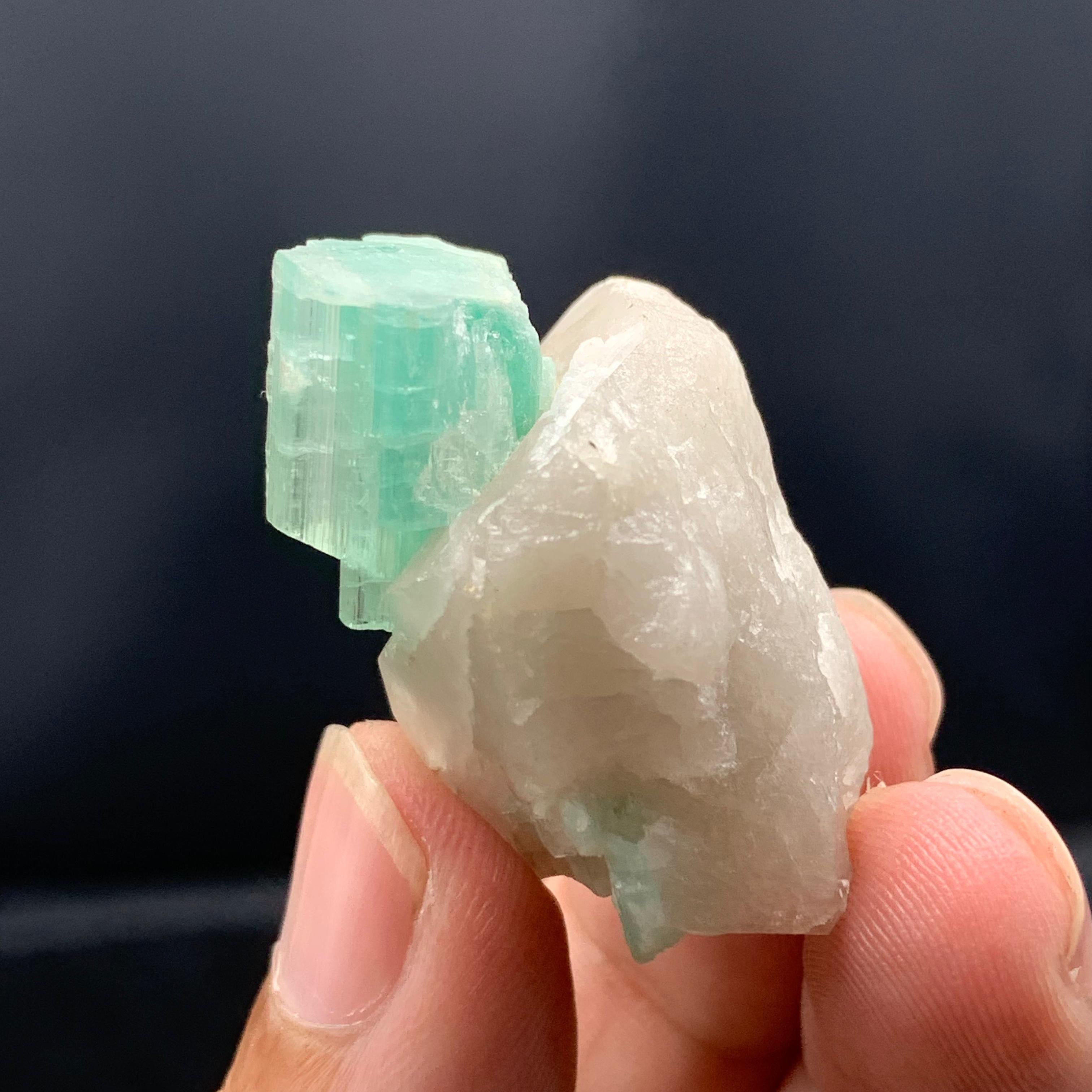 INFORMAZIONI SUI PRODOTTI:

Tipo di campione: Tormalina allungata su quarzo
Peso: 20,95 grammi
Dimensioni: H: 3,2 x W: 2,7 c D: 2,2 C.
Origine: Afghanistan 
Trattamento: Nessuno

DESCRIZIONE: 

Una tormalina allungata su quarzo proveniente