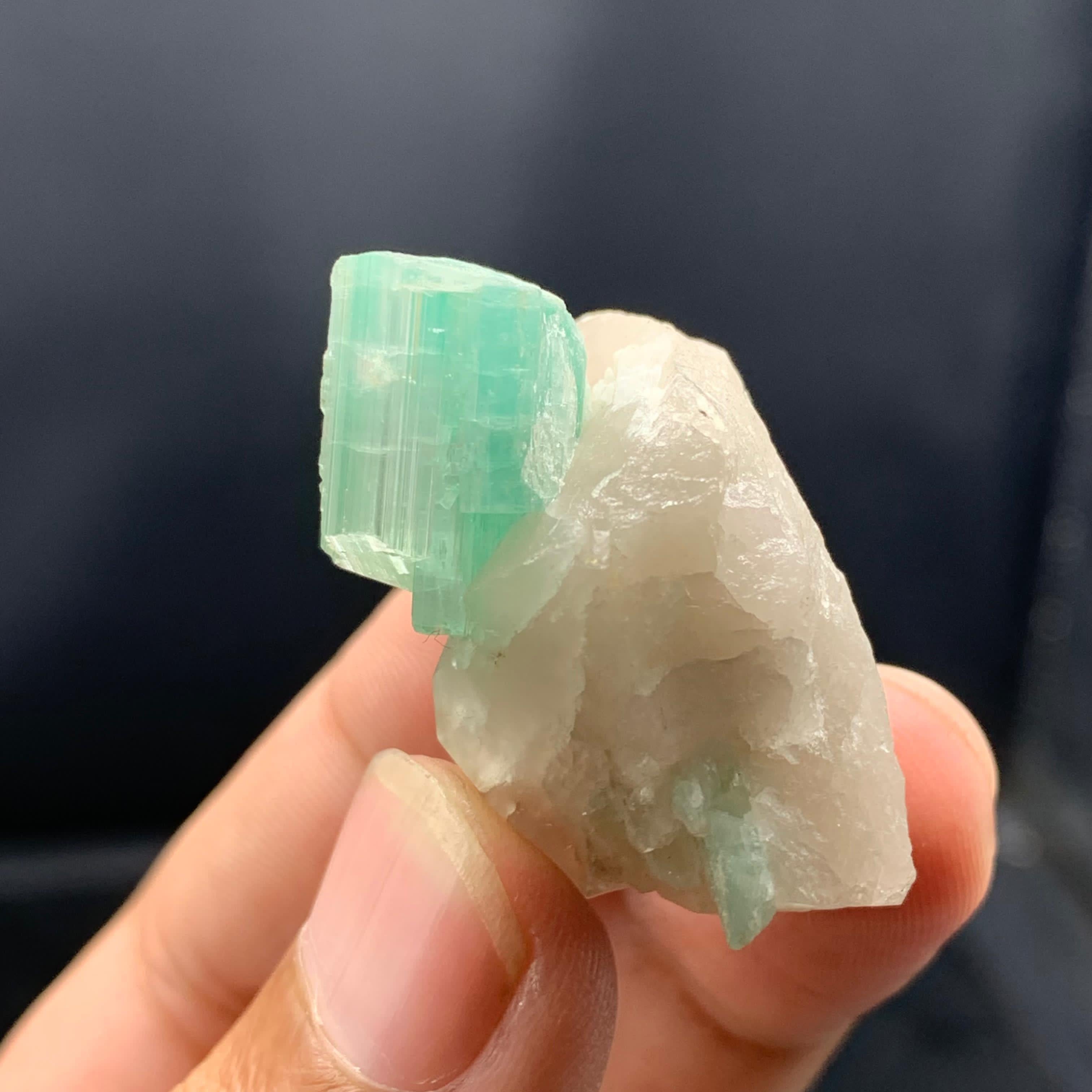 XXI secolo e contemporaneo Elegante  Tormalina allungata su quarzo dall'Afghanistan in vendita