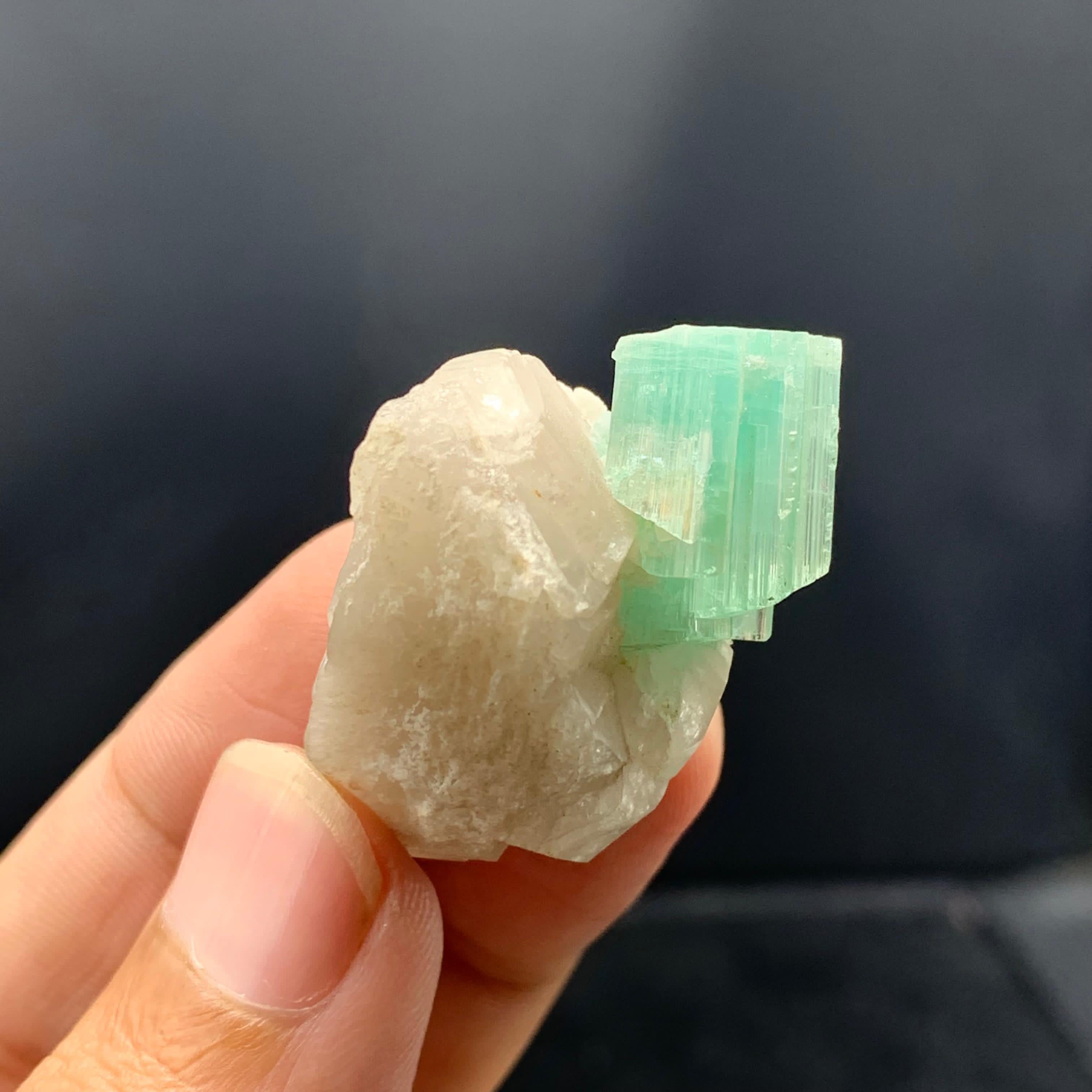 Elegante  Tormalina allungata su quarzo dall'Afghanistan in vendita 2