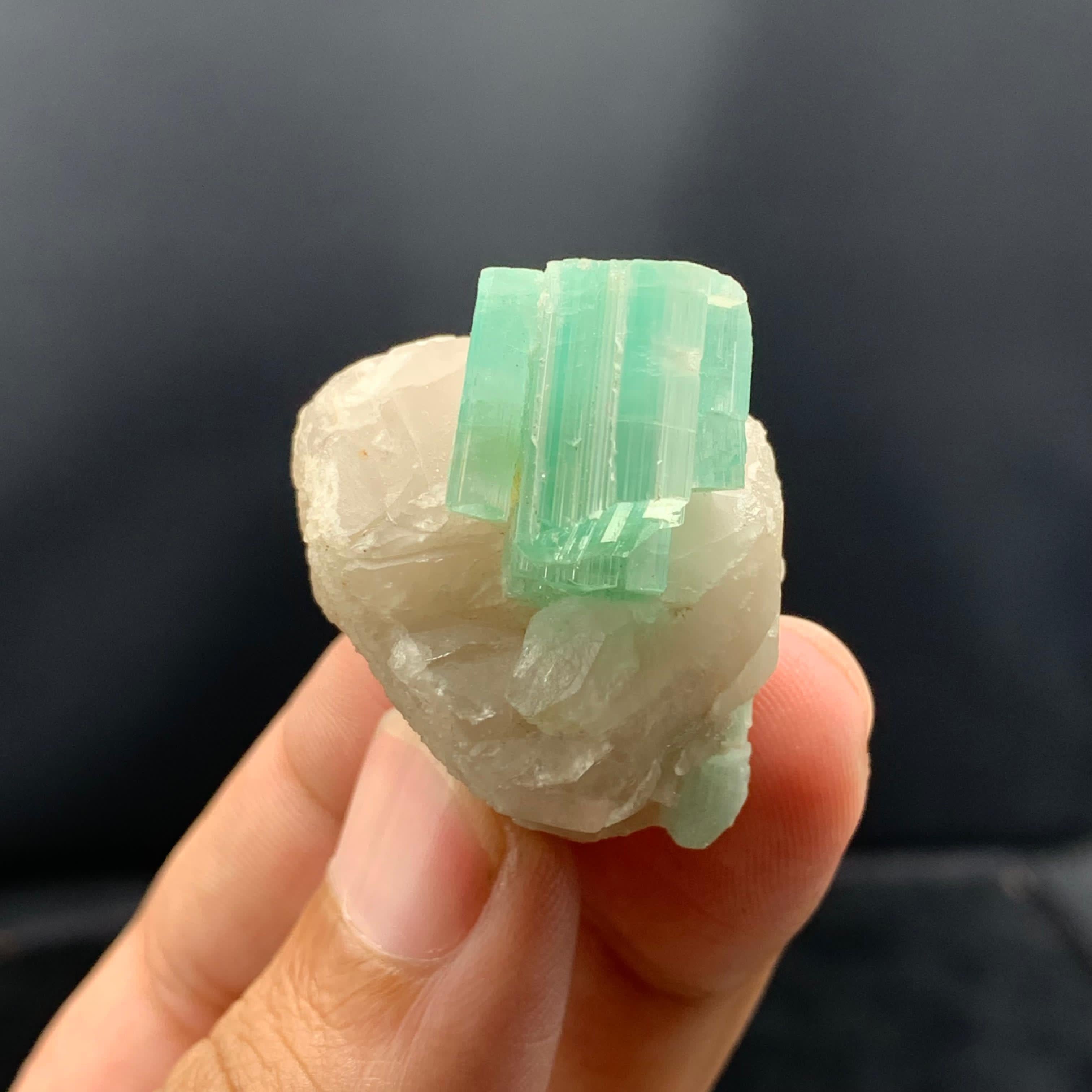 Elegante  Tormalina allungata su quarzo dall'Afghanistan in vendita 3