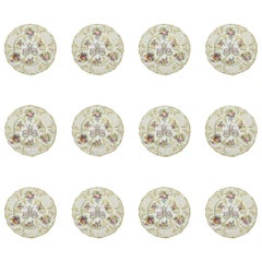 Elegant Set of 12 Antique Hand Painted Porcelain Serving Plates