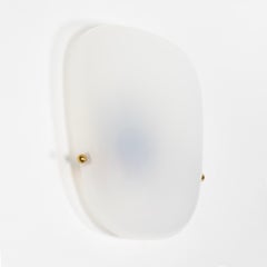 Elegant Set of 4 Large Mid-Century Brass Plexiglass Wall Lights Sconces, 1950s