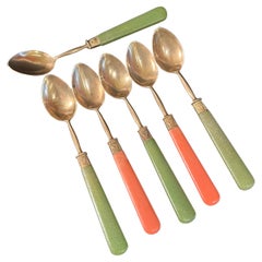 Elegante set di 6 cucchiaini da tè antichi di Higgs of France in ottone e celluloide del 1800
