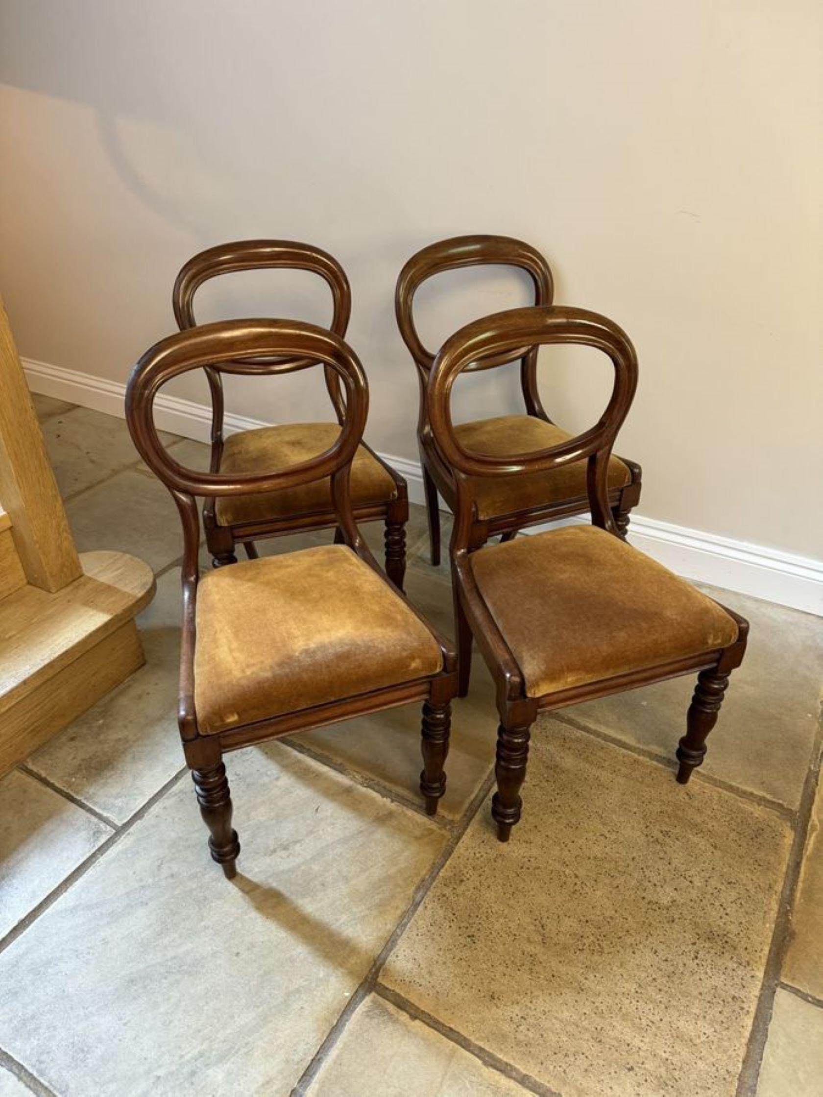 Elegant set of four antique Victorian quality mahogany dining chairs, having a quality mahogany balloon back, drop in seats, standing on turned tapering legs to the front and out swept back legs.

D. 1860