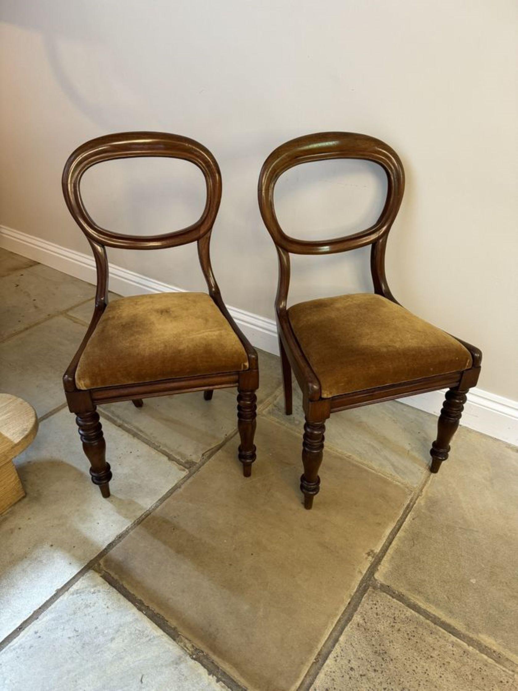 Elegant set of four antique Victorian quality mahogany dining chairs In Good Condition For Sale In Ipswich, GB