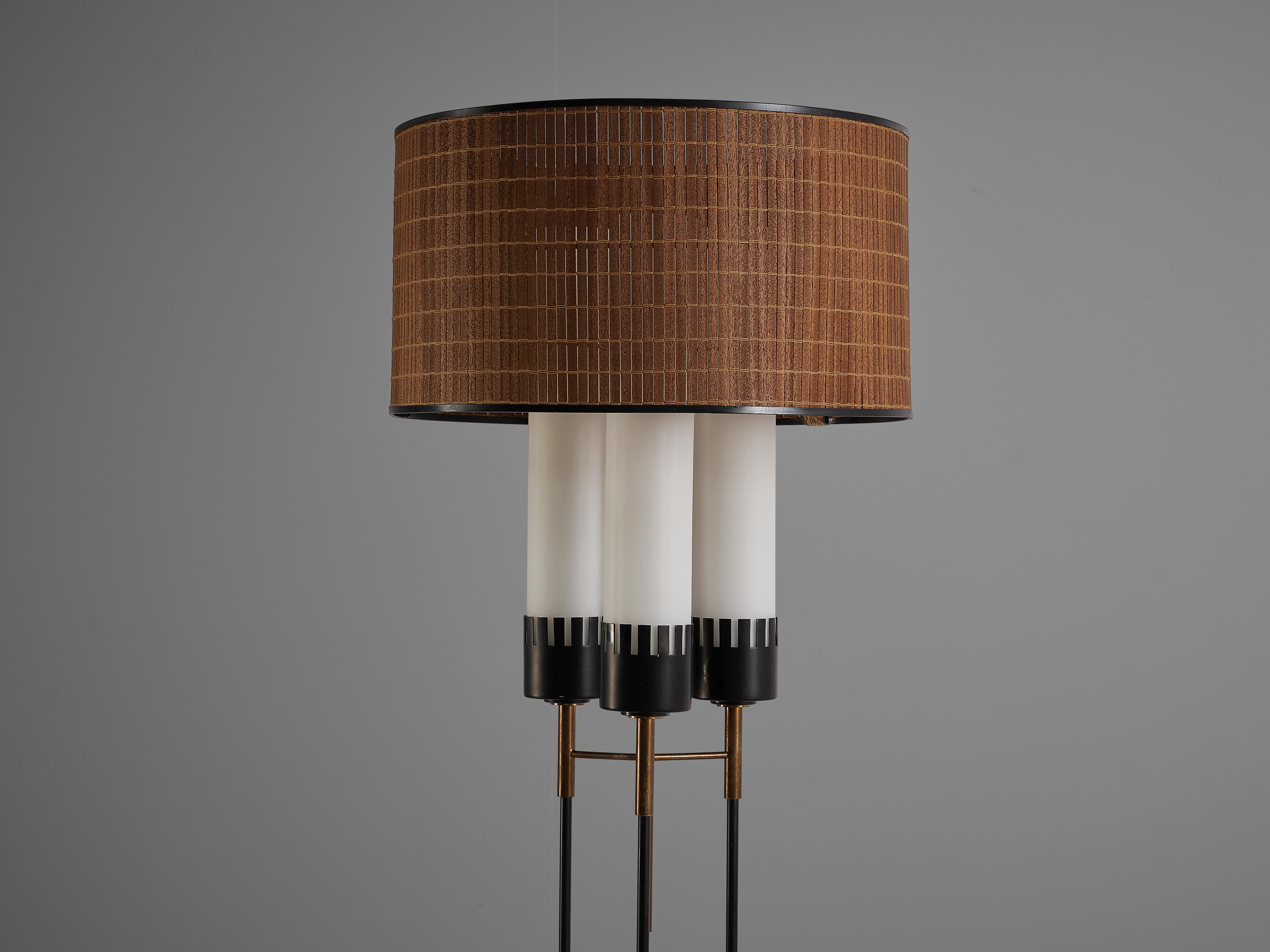 Mid-20th Century Elegant Stilnovo Floor Lamp in Metal and Brass