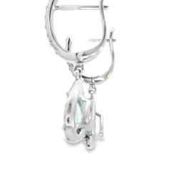 Elegant Teardrop Earrings