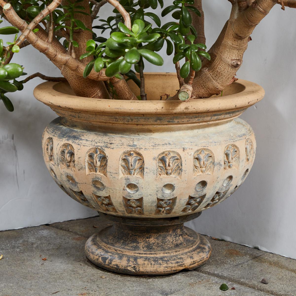 Elegant Terracotta Planter with Flared Rim from 19th Century, England 2
