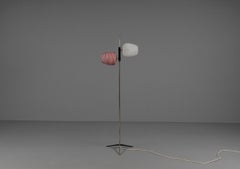 Elegant Tripod Floor Lamp with Two Glass Shades, 1950s