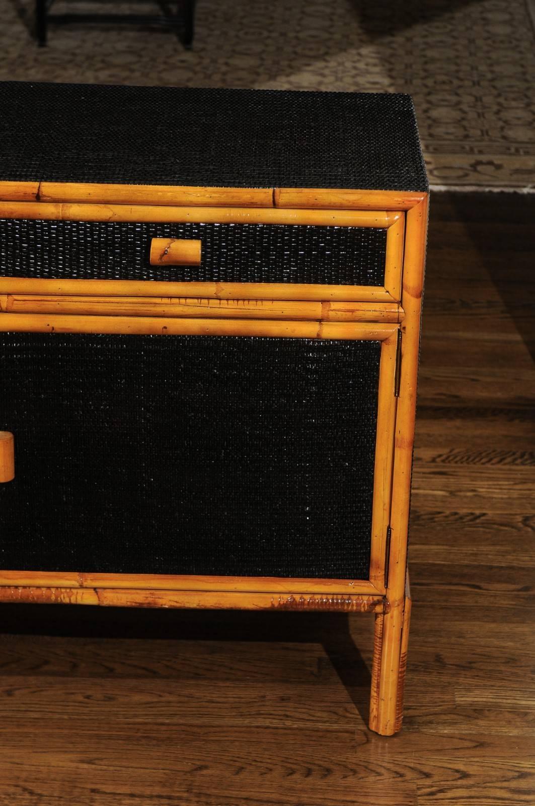 Elegant Vintage Black Lacquer Cane Cabinet with Bamboo Accents, circa 1970 For Sale 4