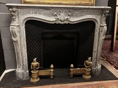 Elegant French fireplace made of richly decorated Bardiglio gray marble, France