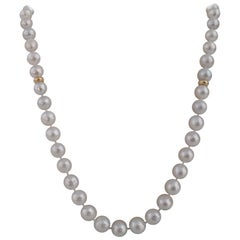 Elegante Long Necklace of Natural Color South Sea Pearls, High Luster