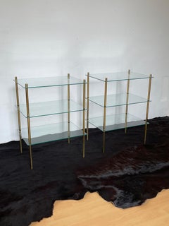 Elegant Set of 2 Shelves with Brass Frame and Glass Shelves