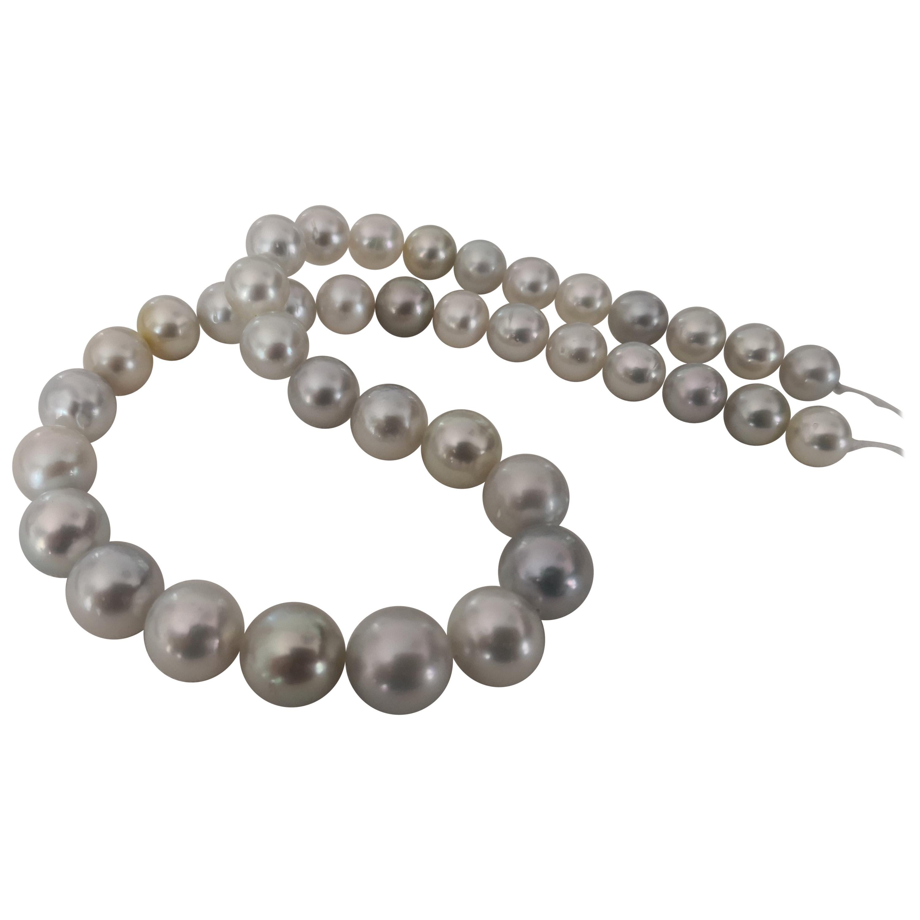 Elegante Silver Natural Color South Sea Pearls with High Luster and Orient