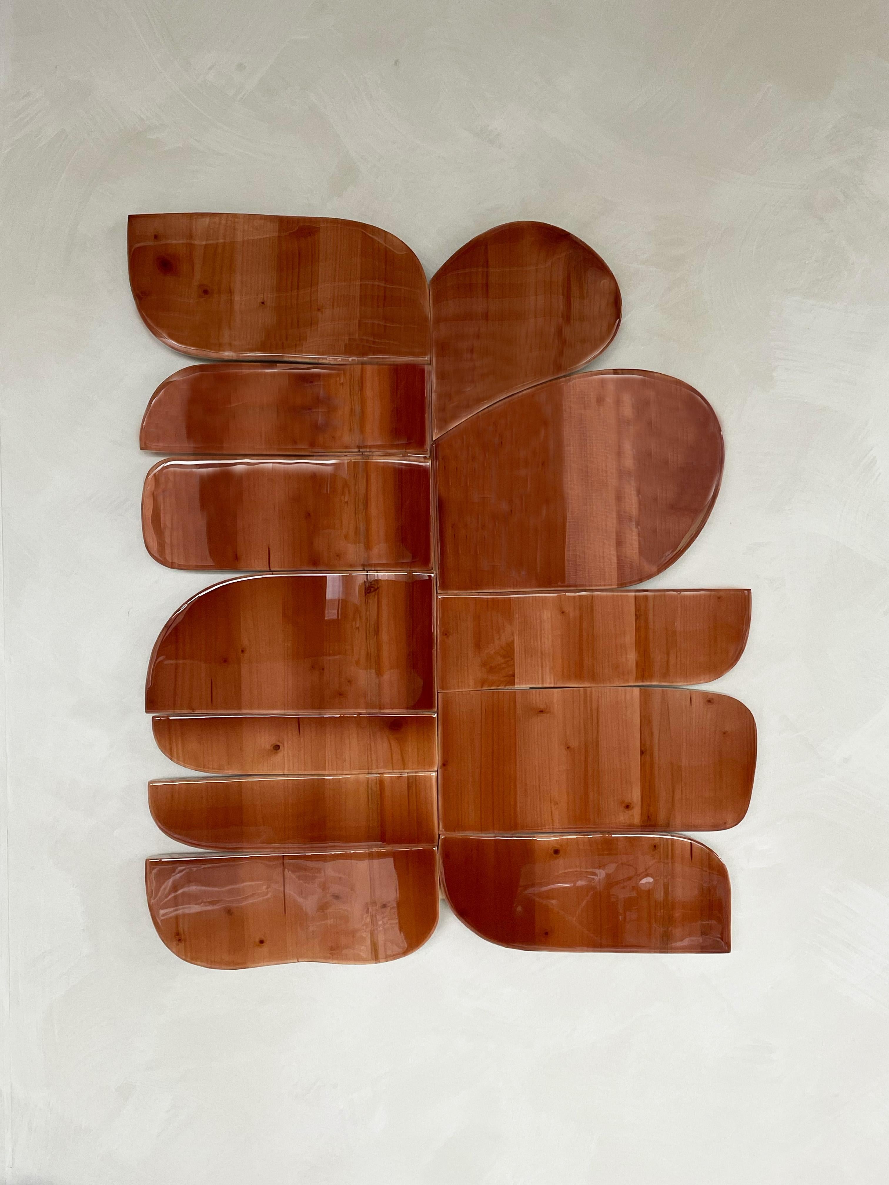 Elements #18 wall sculpture by Eline Baas.
Dimensions: D 5 x W 76 x H 92 cm.
Materials: wax, wood.

Studio Eline Baasis an Amsterdam-based Interior Design studio. 

Whether it is a private home, office, restaurant, hotel or the aesthetic