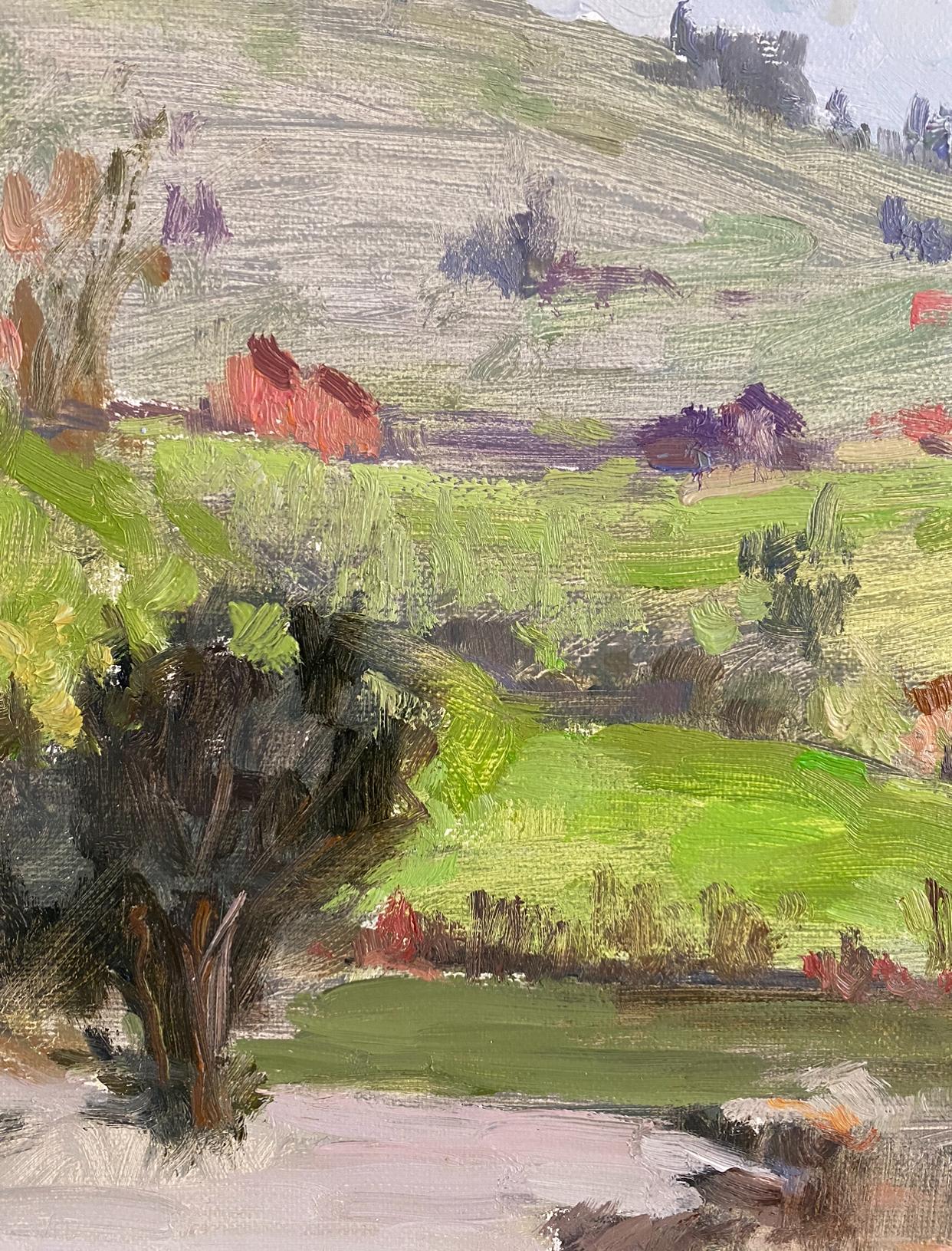 Dieses impressionistische Pleinair-Gemälde fängt den heiteren Charme von Werdenberg ein, einer malerischen Schweizer Stadt, die in das sanfte Licht des Frühlings getaucht ist. Die üppig grünen Hügel, die rustikalen Häuser und die ruhigen