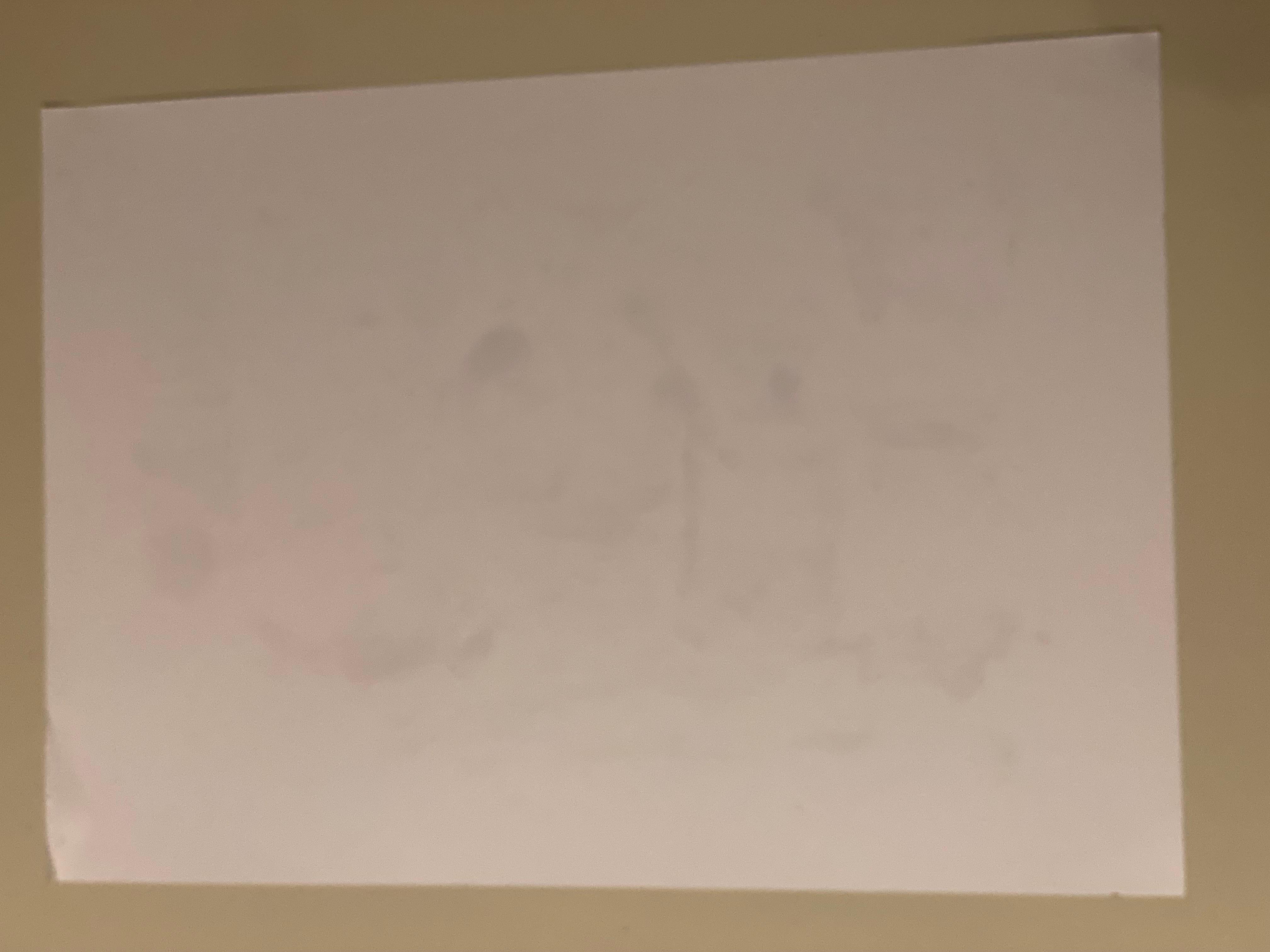 Stilleben mit Porzellankatze stillleben ölgemälde impressionismus zeitgenössisch im Angebot 4